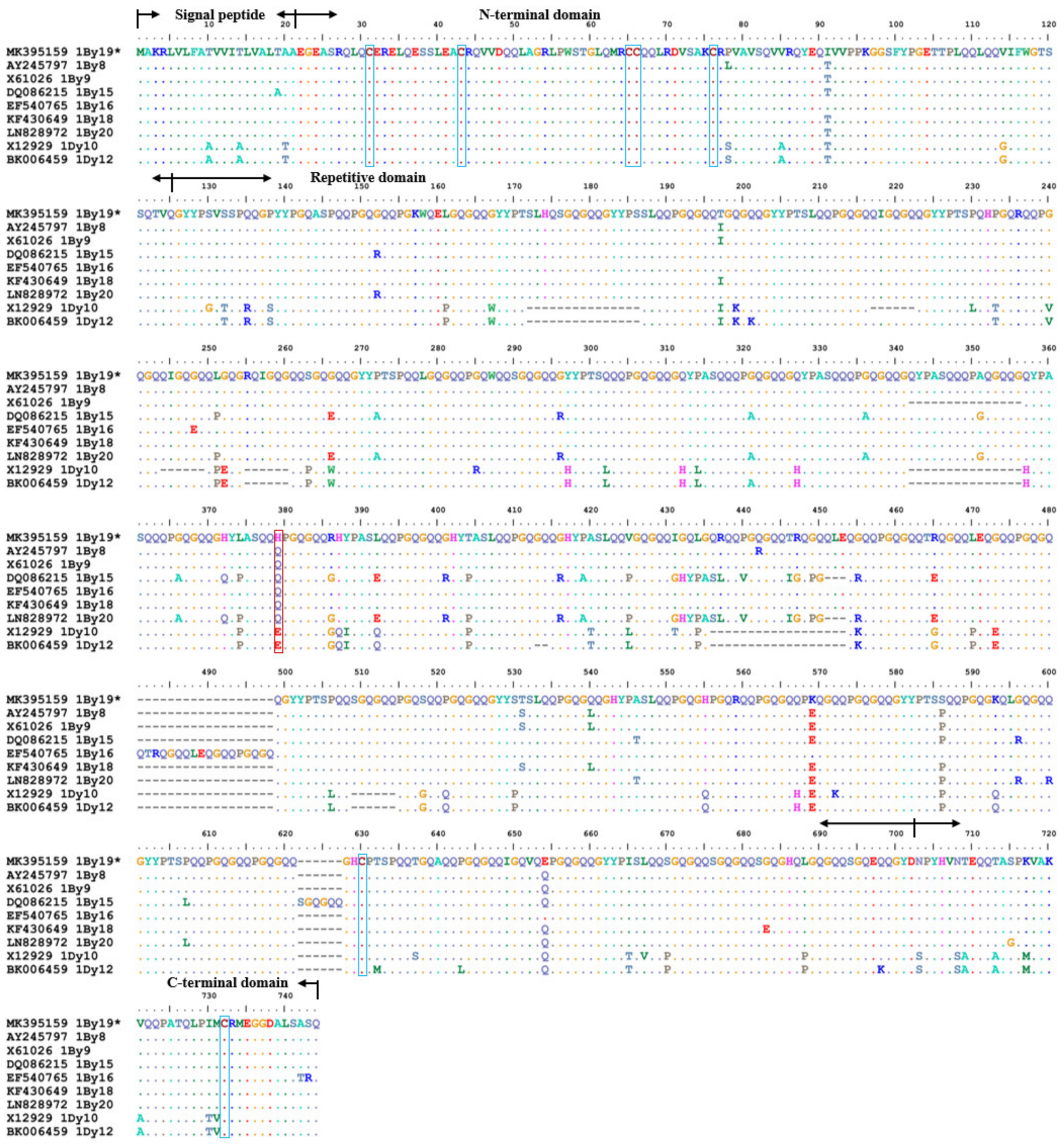 Ijms 23 11104 g003 Ijms 23 11104 g003