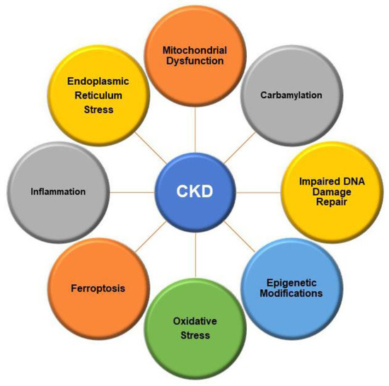 IJMS Free FullText Molecular Mechanisms of Cellular Injury and
