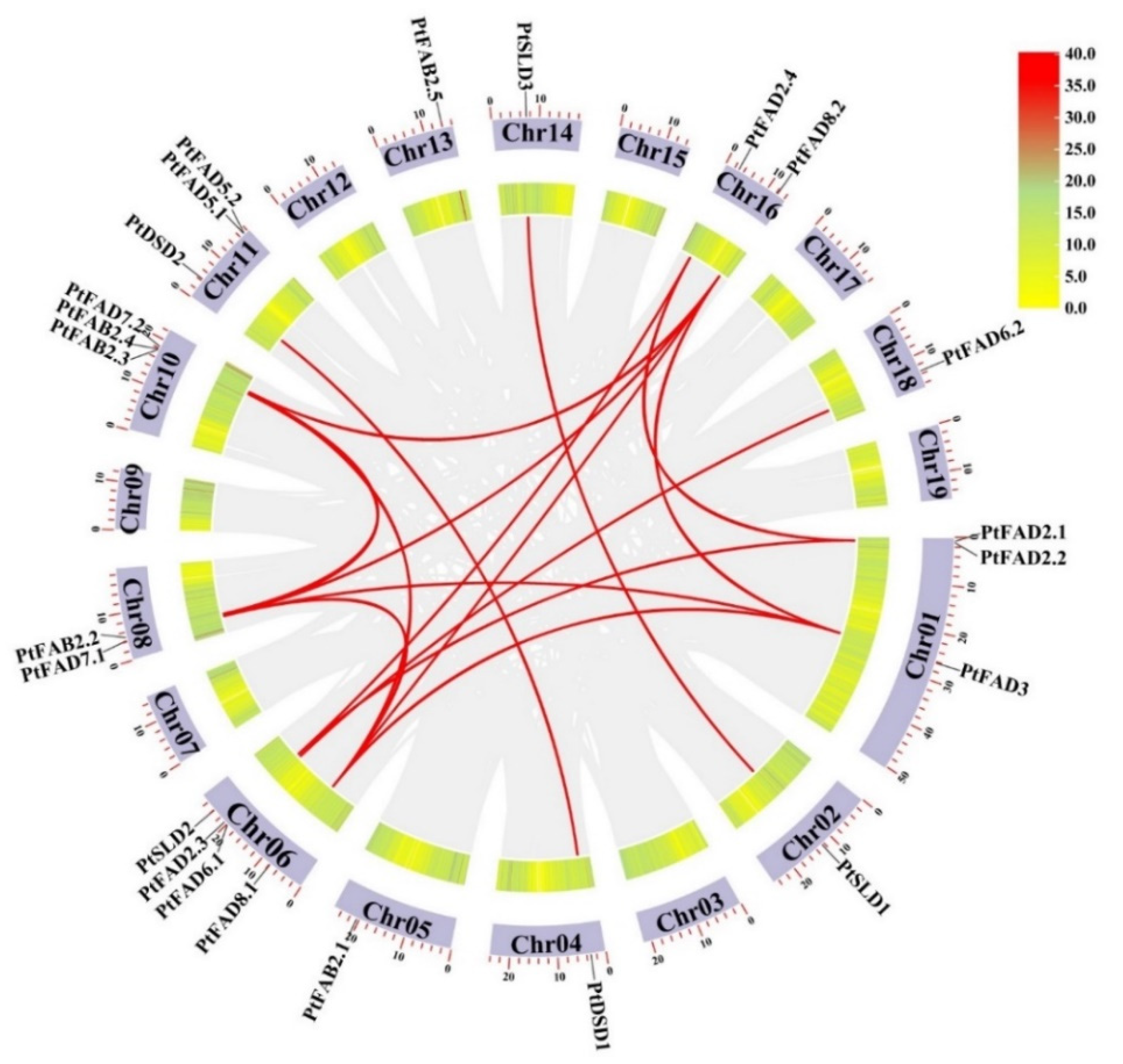 Ijms 23 11109 g002 Ijms 23 11109 g002