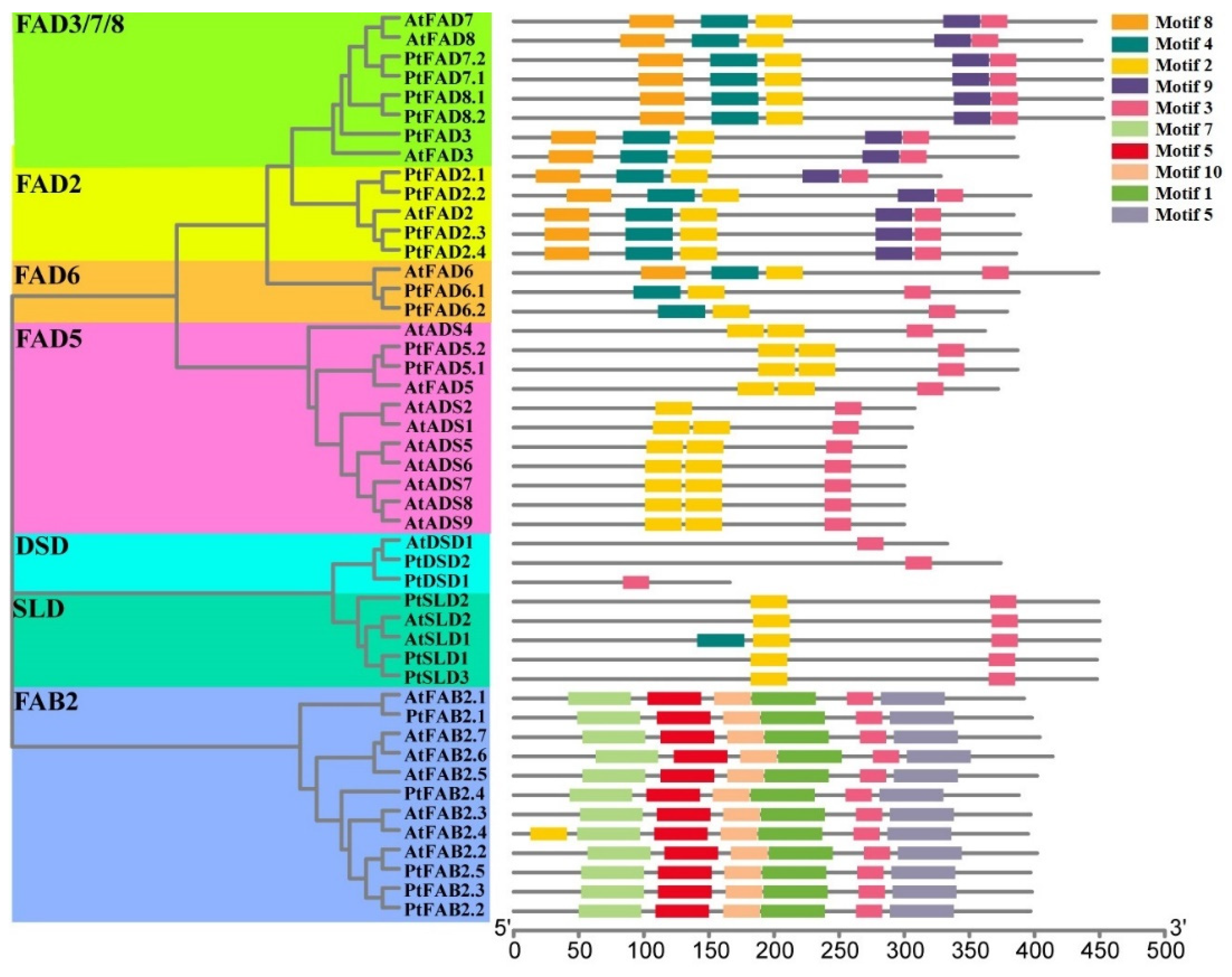 Ijms 23 11109 g005 Ijms 23 11109 g005