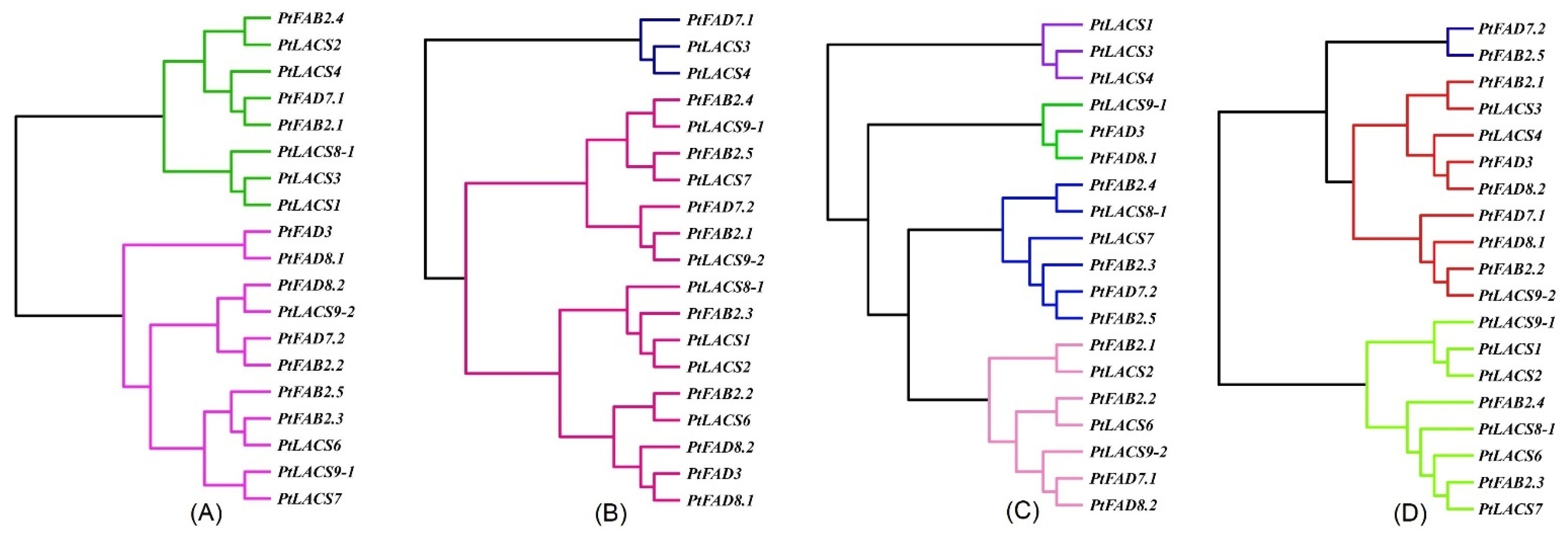 Ijms 23 11109 g009 Ijms 23 11109 g009