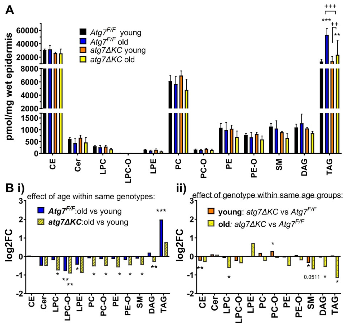 Ijms 23 11110 g001 Ijms 23 11110 g001