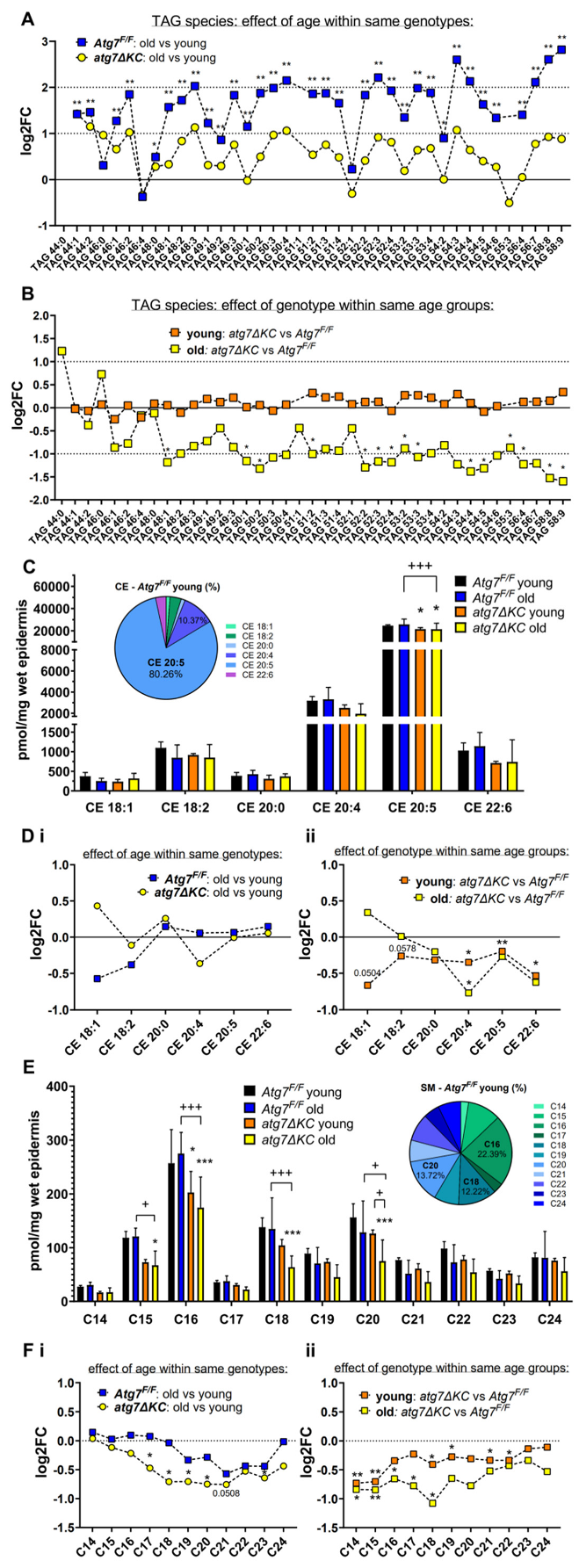Ijms 23 11110 g002 Ijms 23 11110 g002