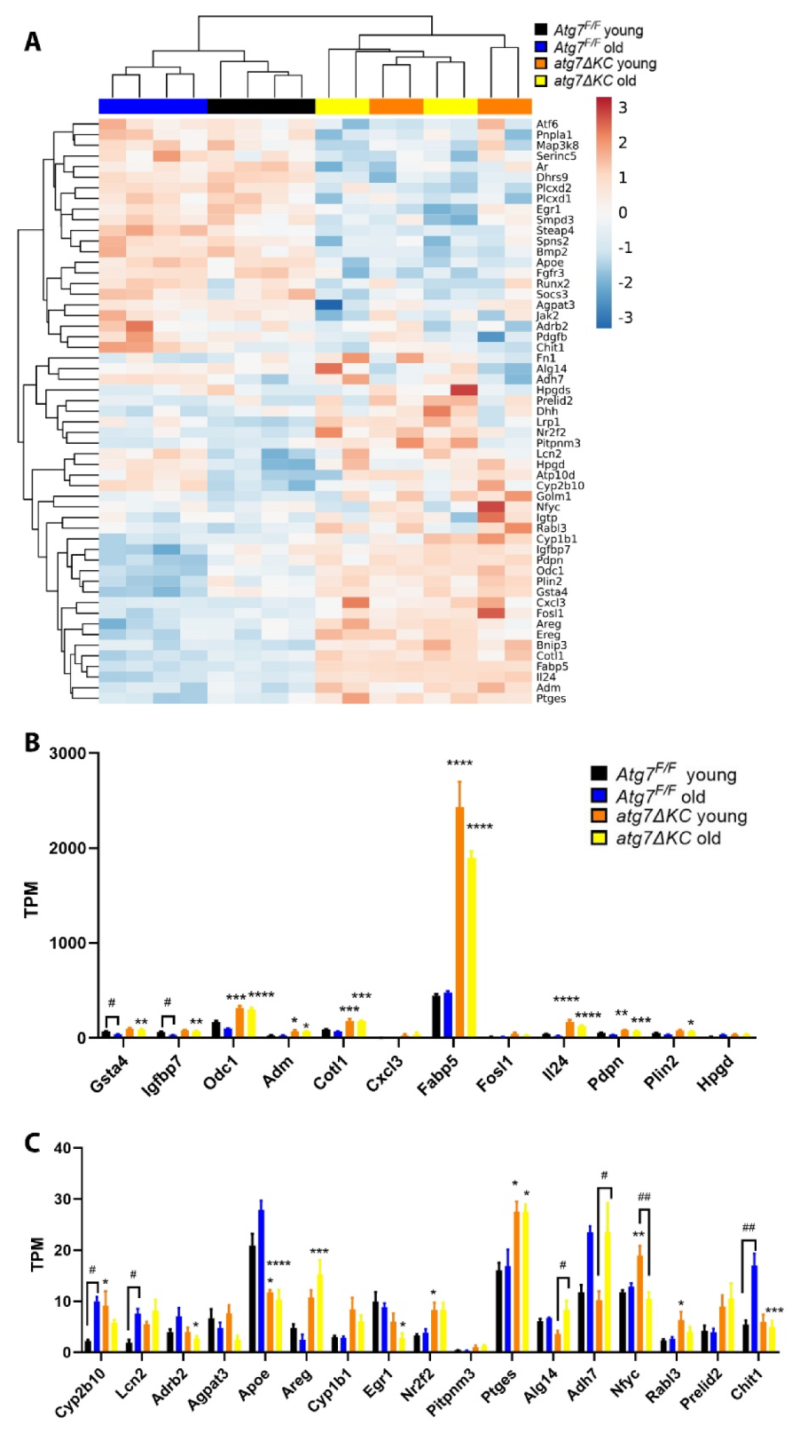 Ijms 23 11110 g003 Ijms 23 11110 g003