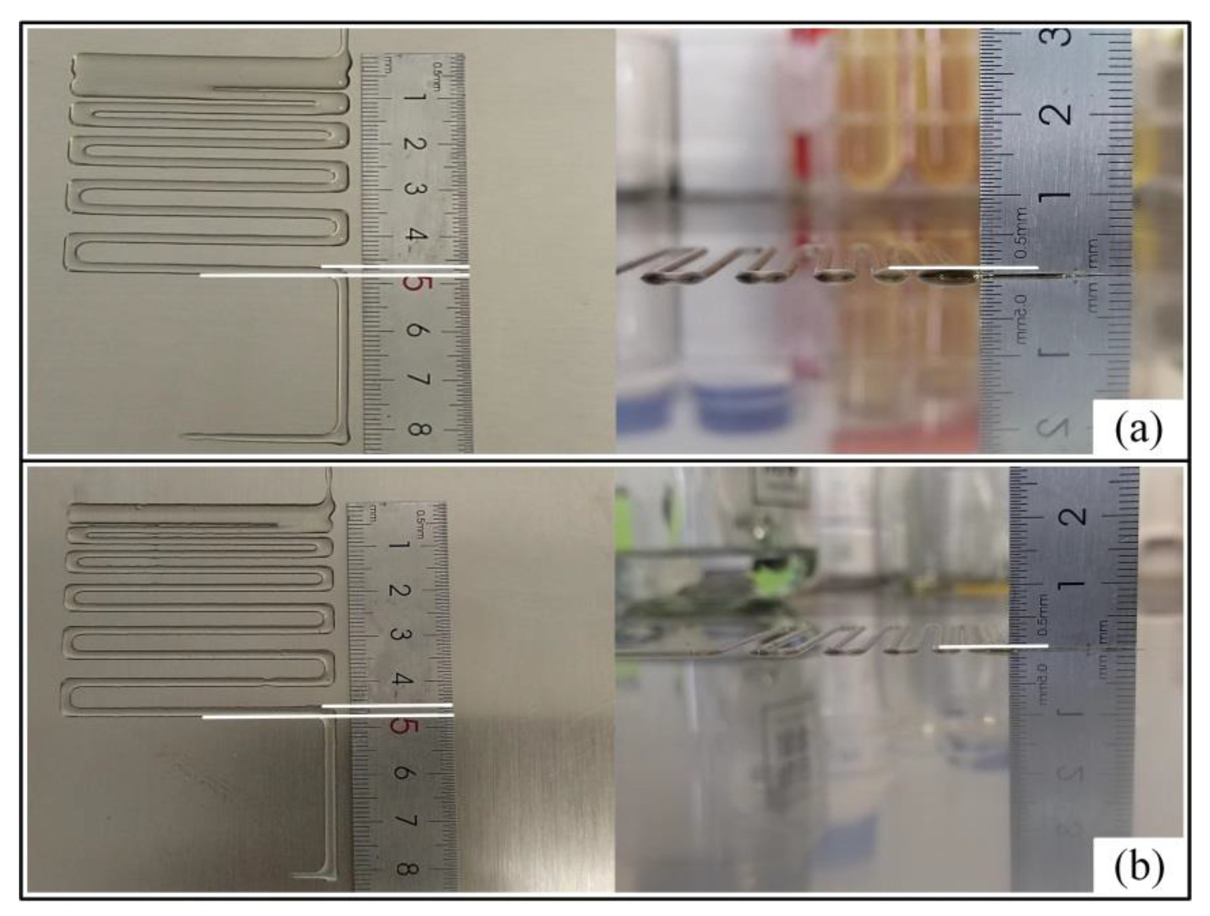 Ijms 23 11114 g004 550