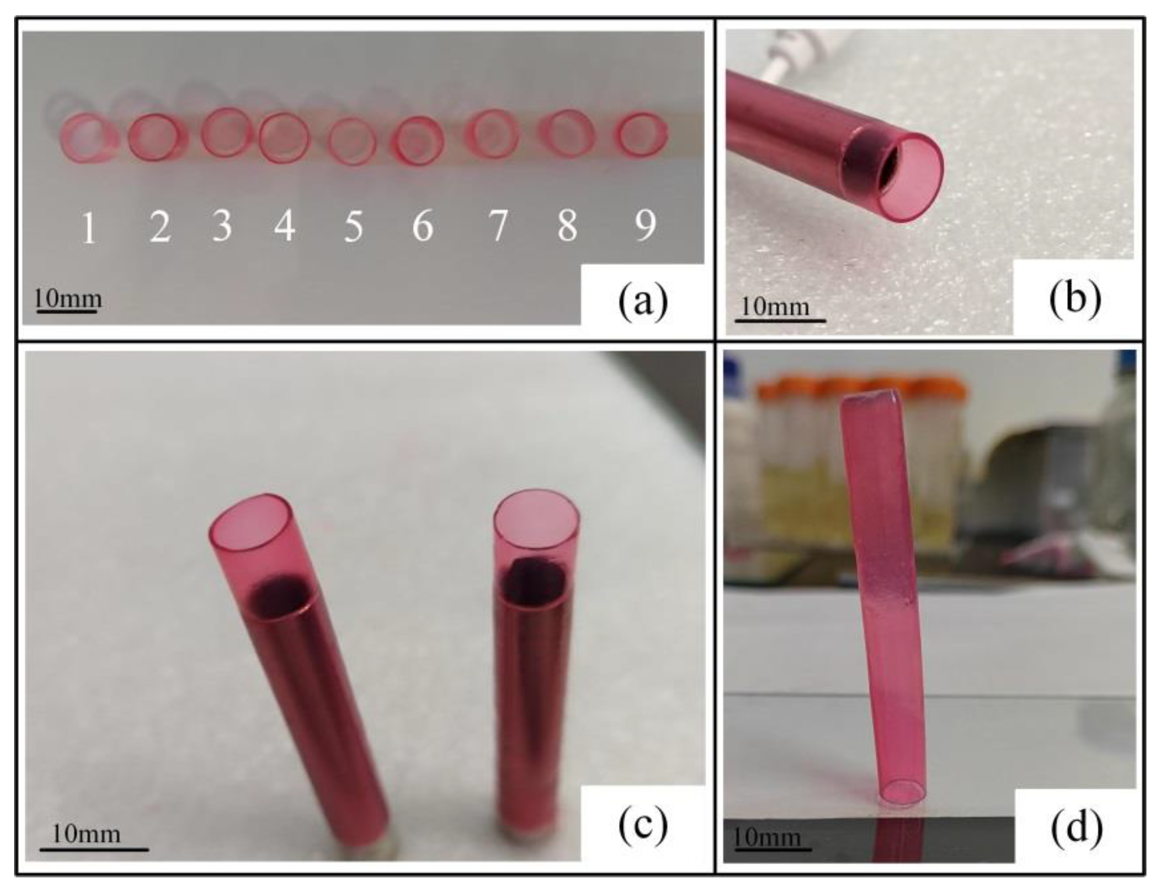 Ijms 23 11114 g005 550