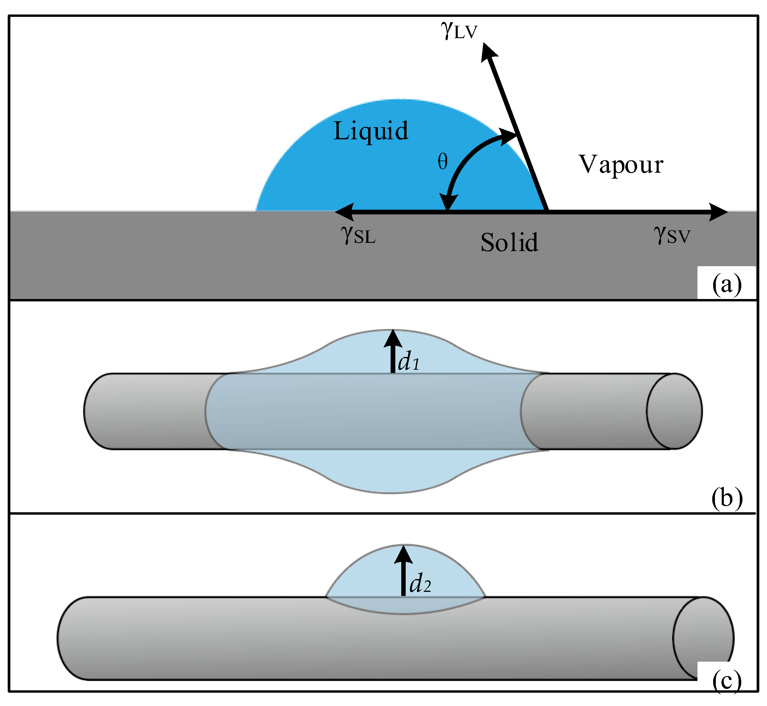Ijms 23 11114 g008 550