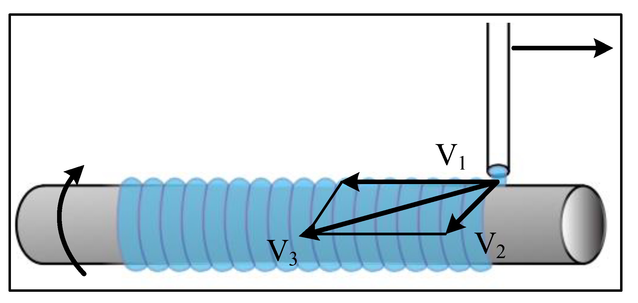 Ijms 23 11114 g011 550
