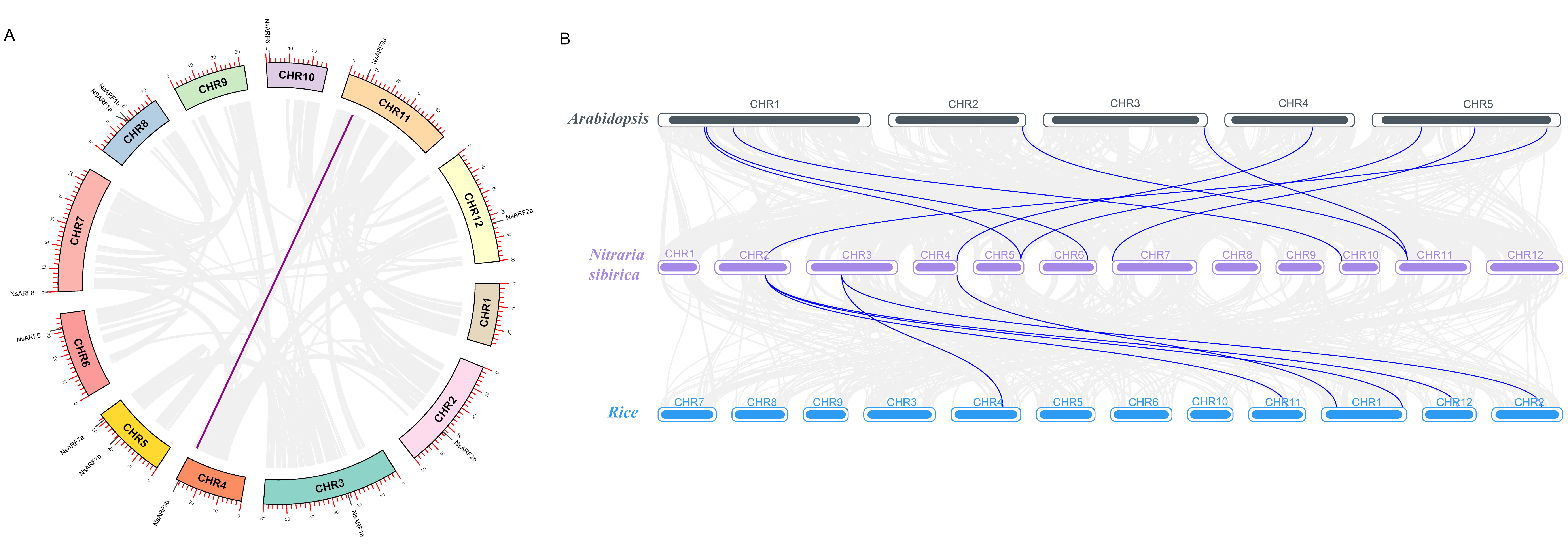 Ijms 23 11122 g002 Ijms 23 11122 g002