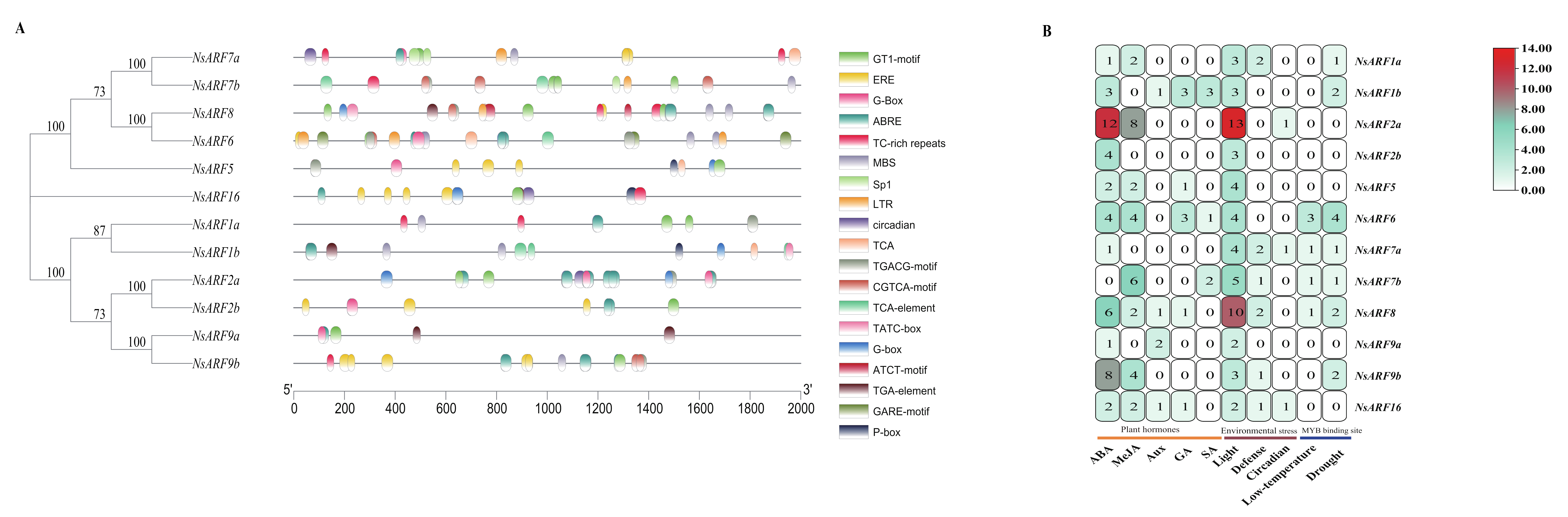 Ijms 23 11122 g004 Ijms 23 11122 g004