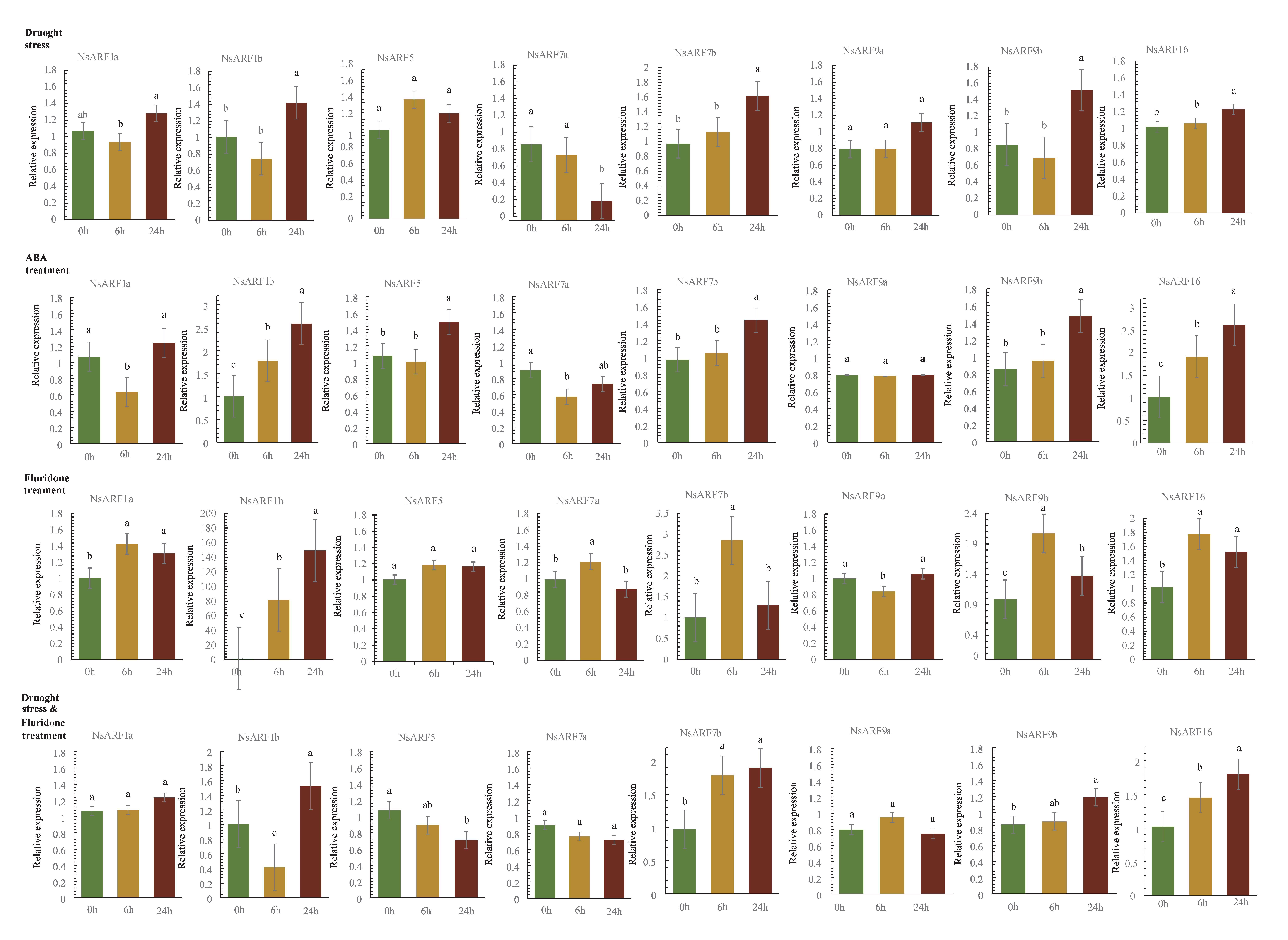 Ijms 23 11122 g006 Ijms 23 11122 g006