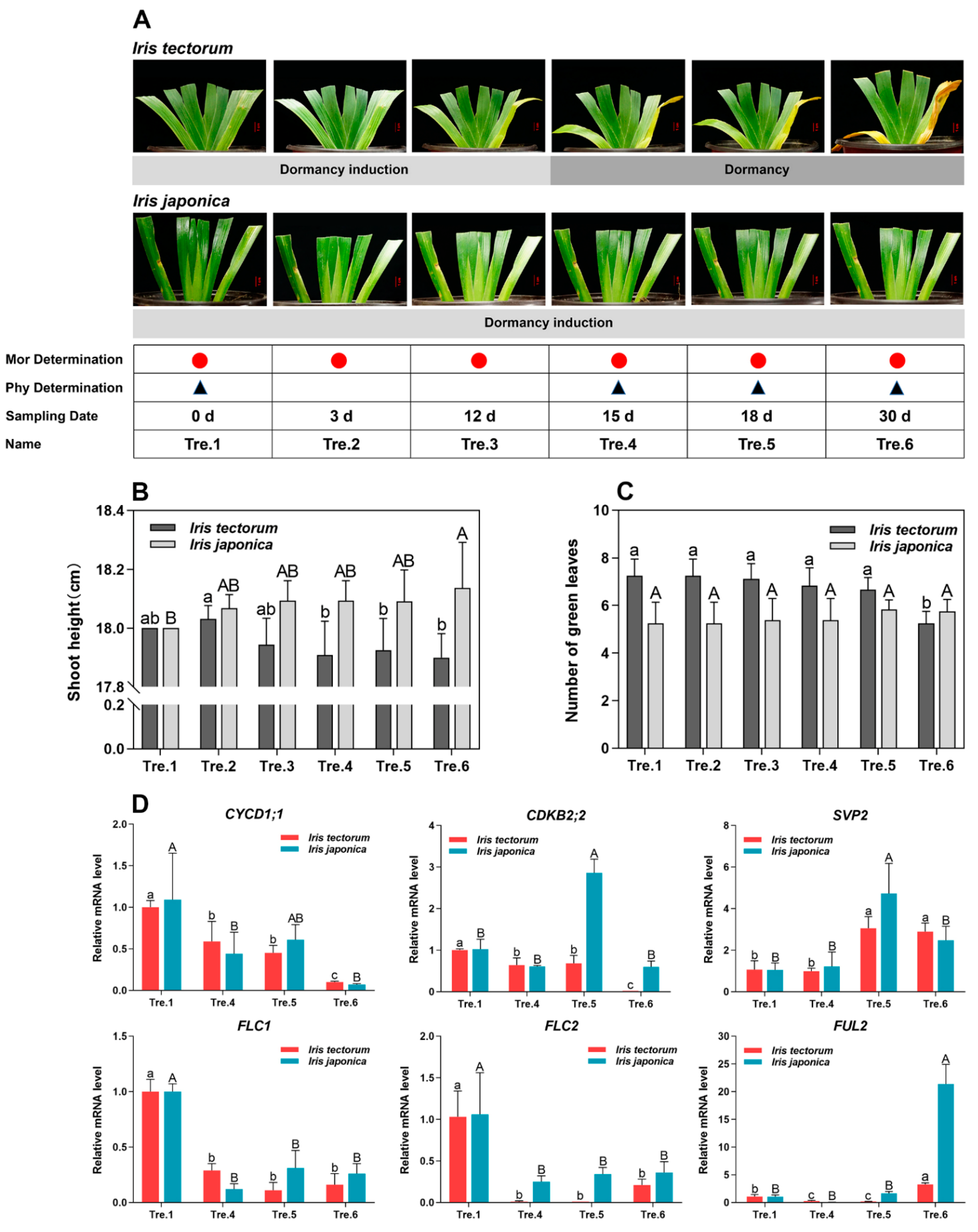 Ijms 23 11123 g001 Ijms 23 11123 g001