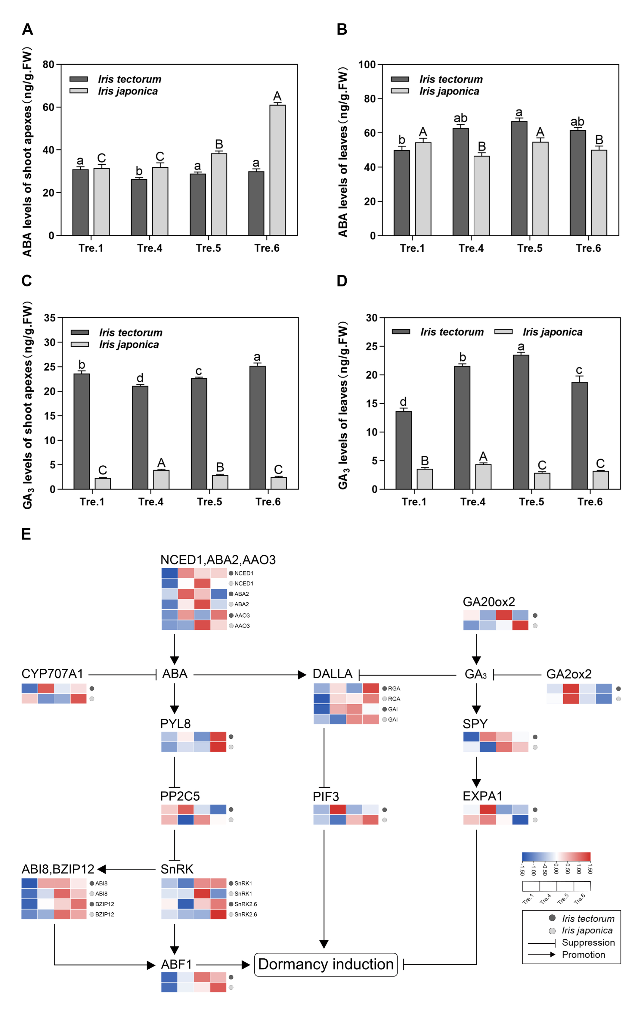 Ijms 23 11123 g002 Ijms 23 11123 g002