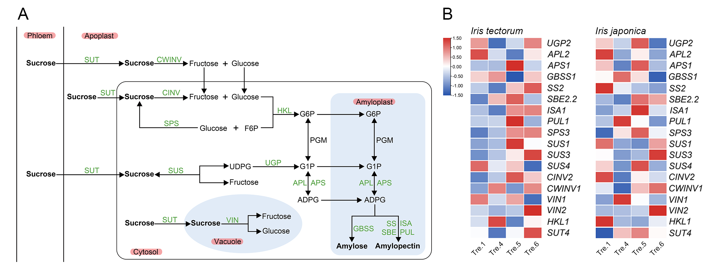 Ijms 23 11123 g004 Ijms 23 11123 g004