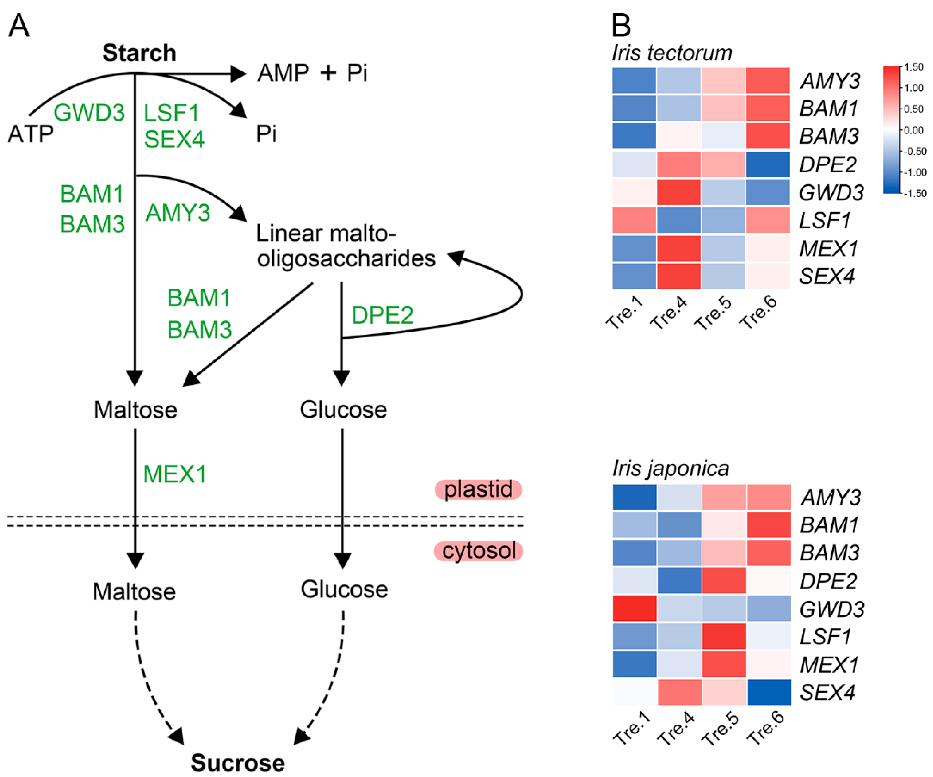 Ijms 23 11123 g005 Ijms 23 11123 g005