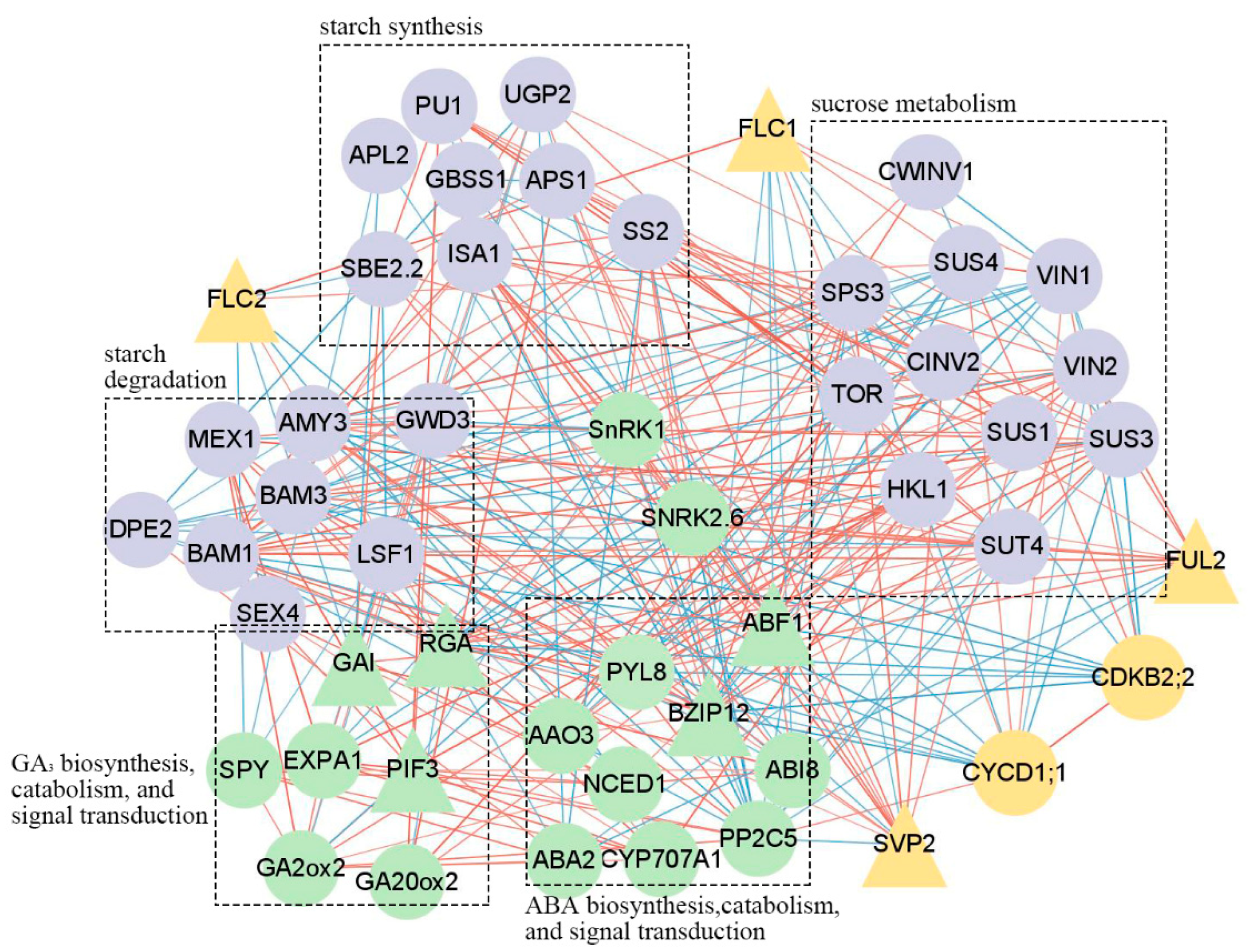 Ijms 23 11123 g006 Ijms 23 11123 g006