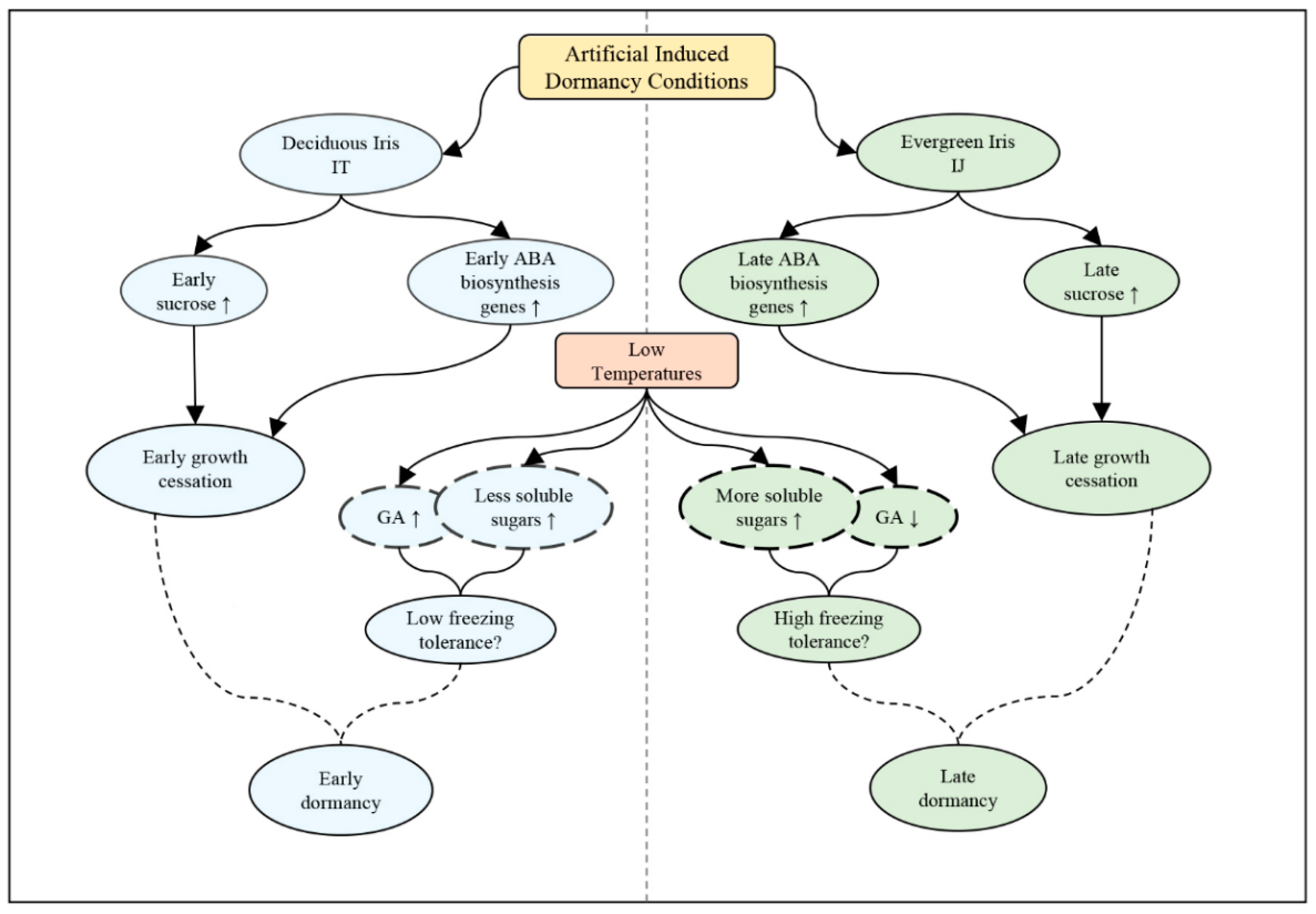 Ijms 23 11123 g007 Ijms 23 11123 g007