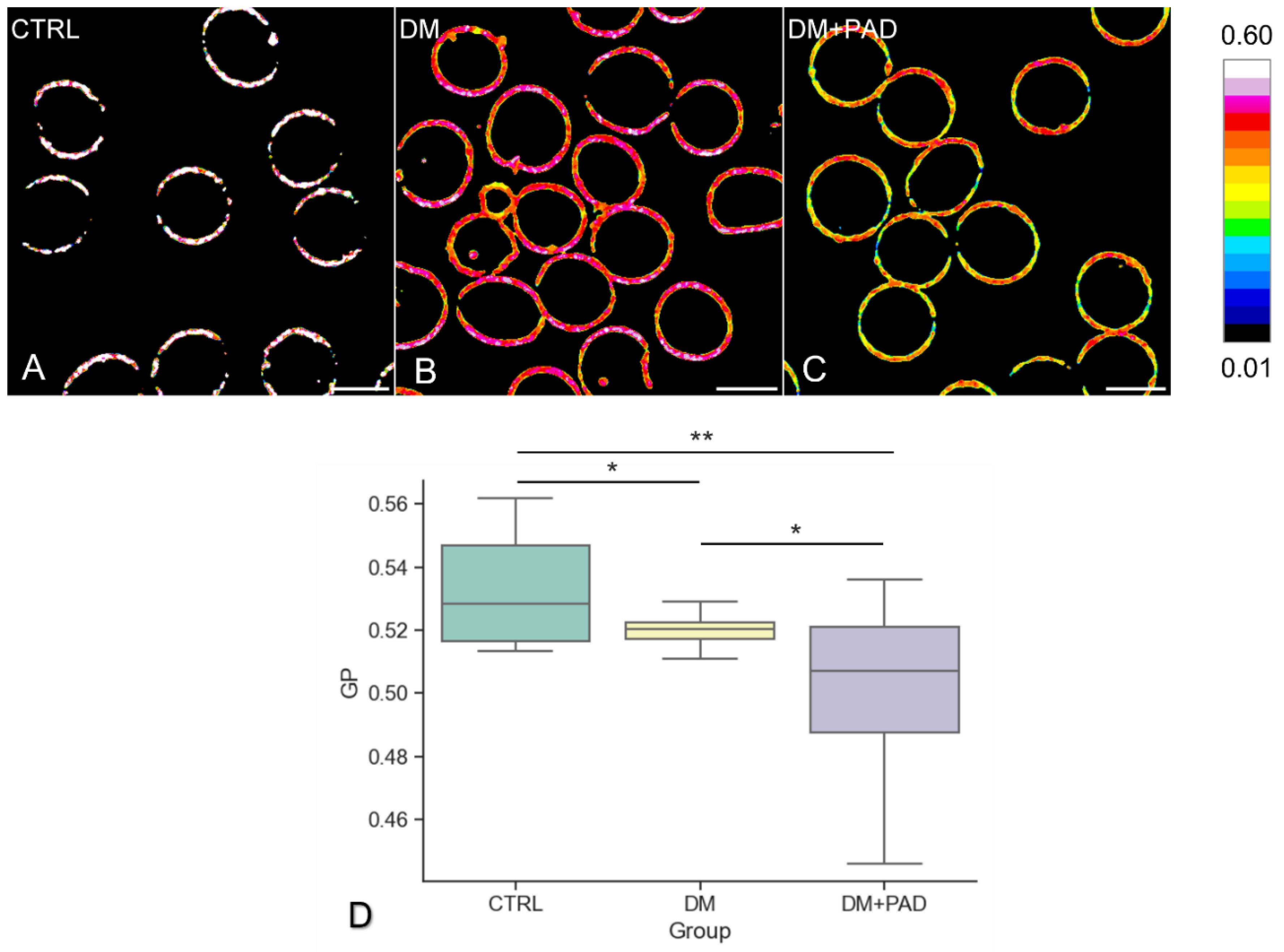 Ijms 23 11126 g001 Ijms 23 11126 g001