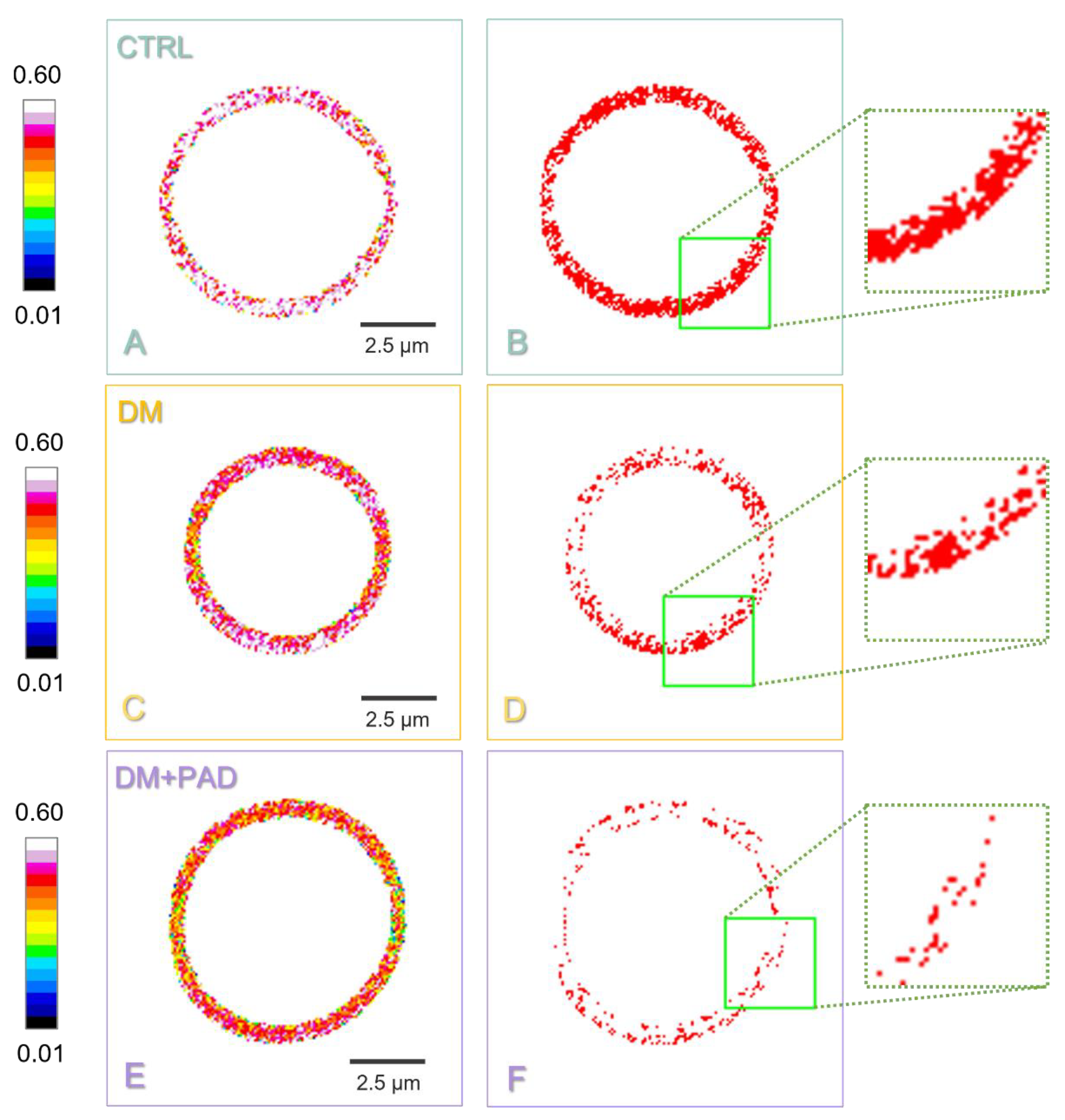 Ijms 23 11126 g002 Ijms 23 11126 g002