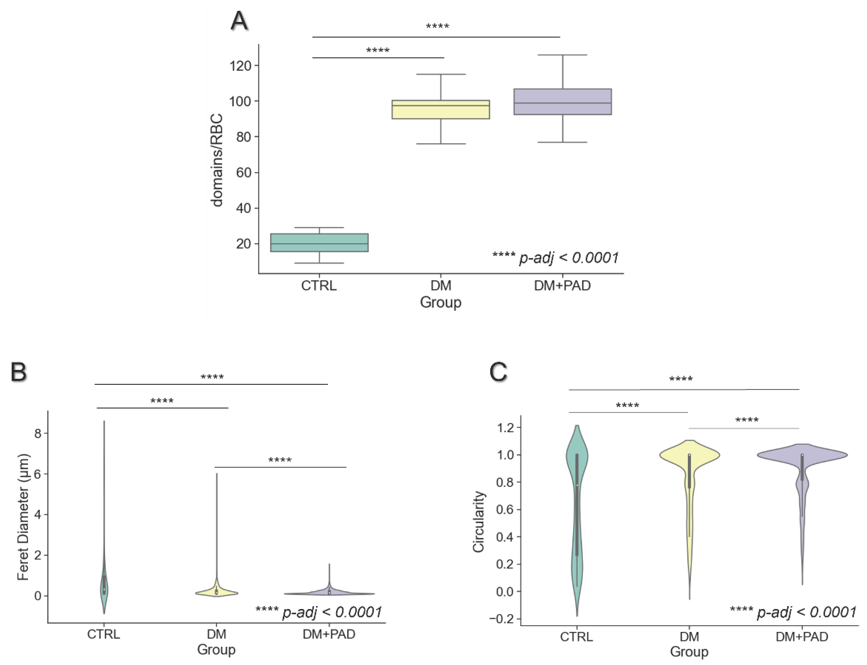 Ijms 23 11126 g003 Ijms 23 11126 g003