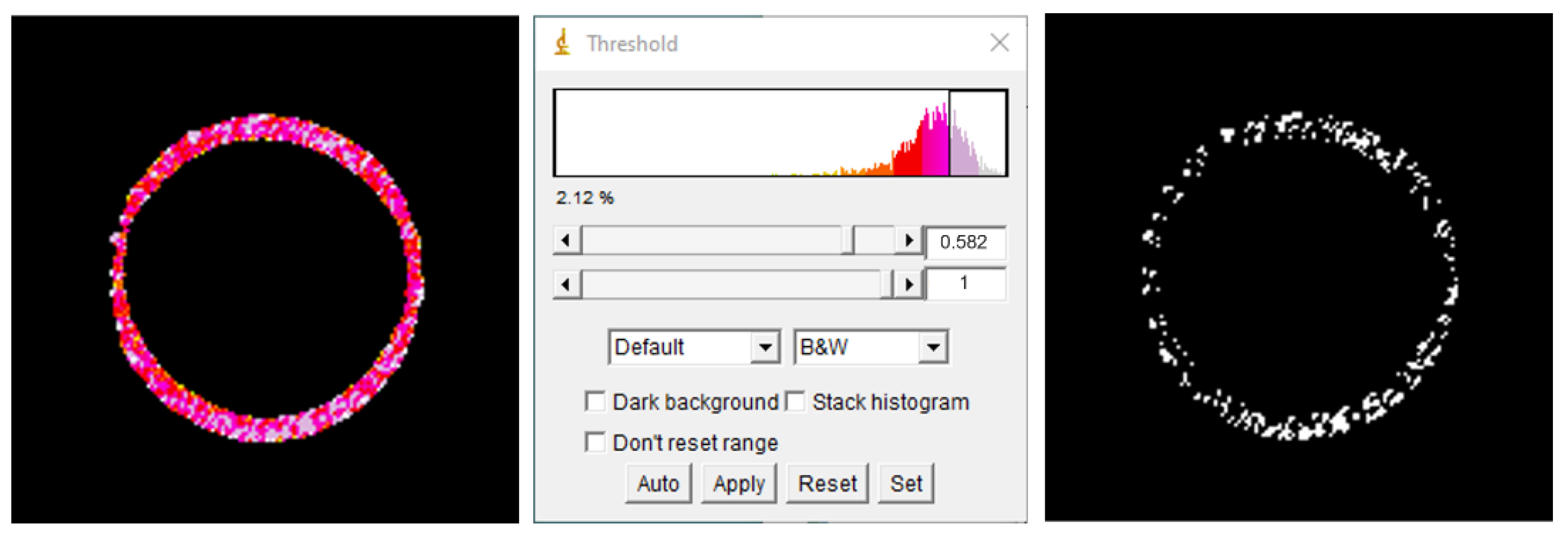 Ijms 23 11126 g005 Ijms 23 11126 g005
