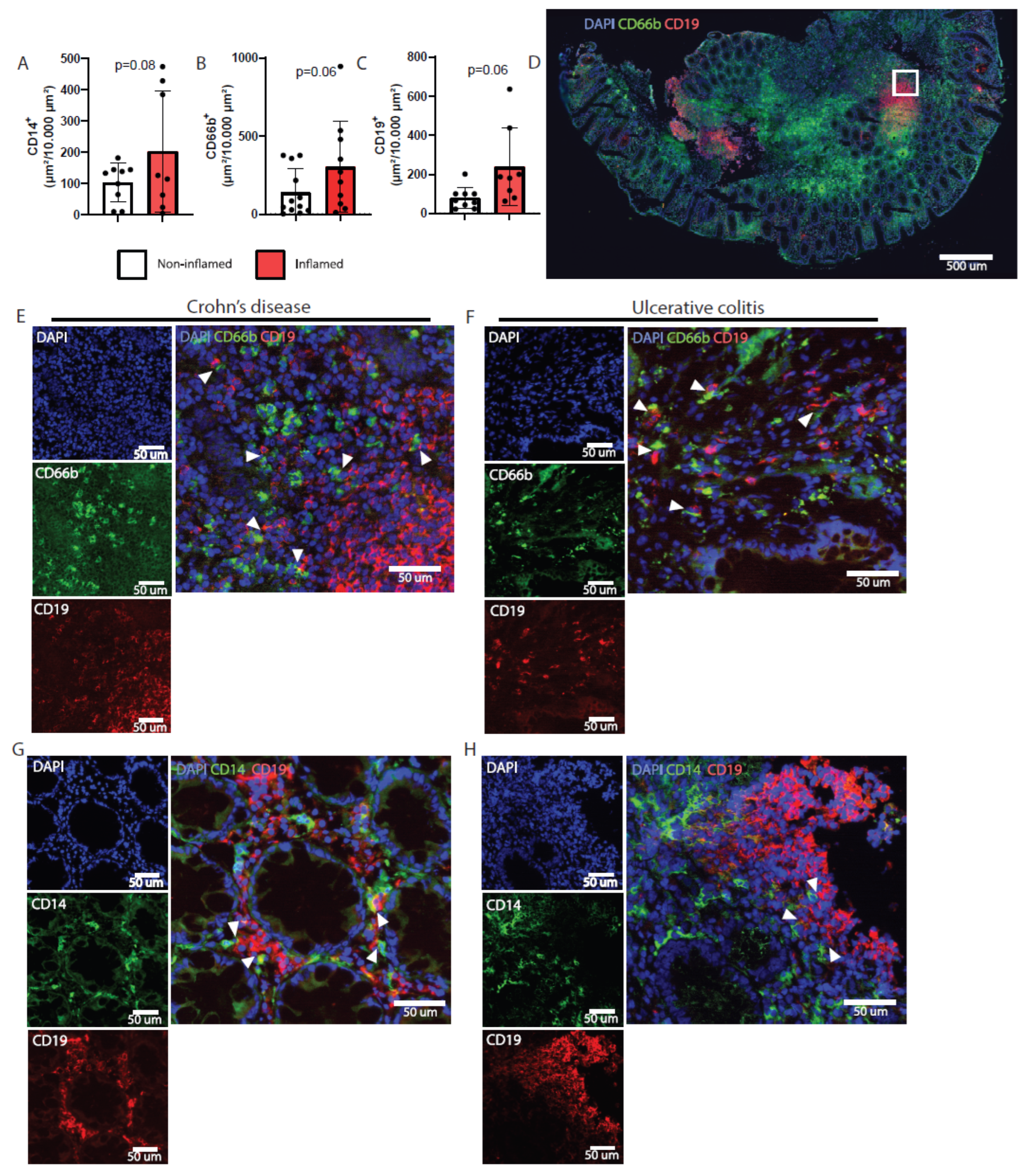 Ijms 23 11132 g001 Ijms 23 11132 g001