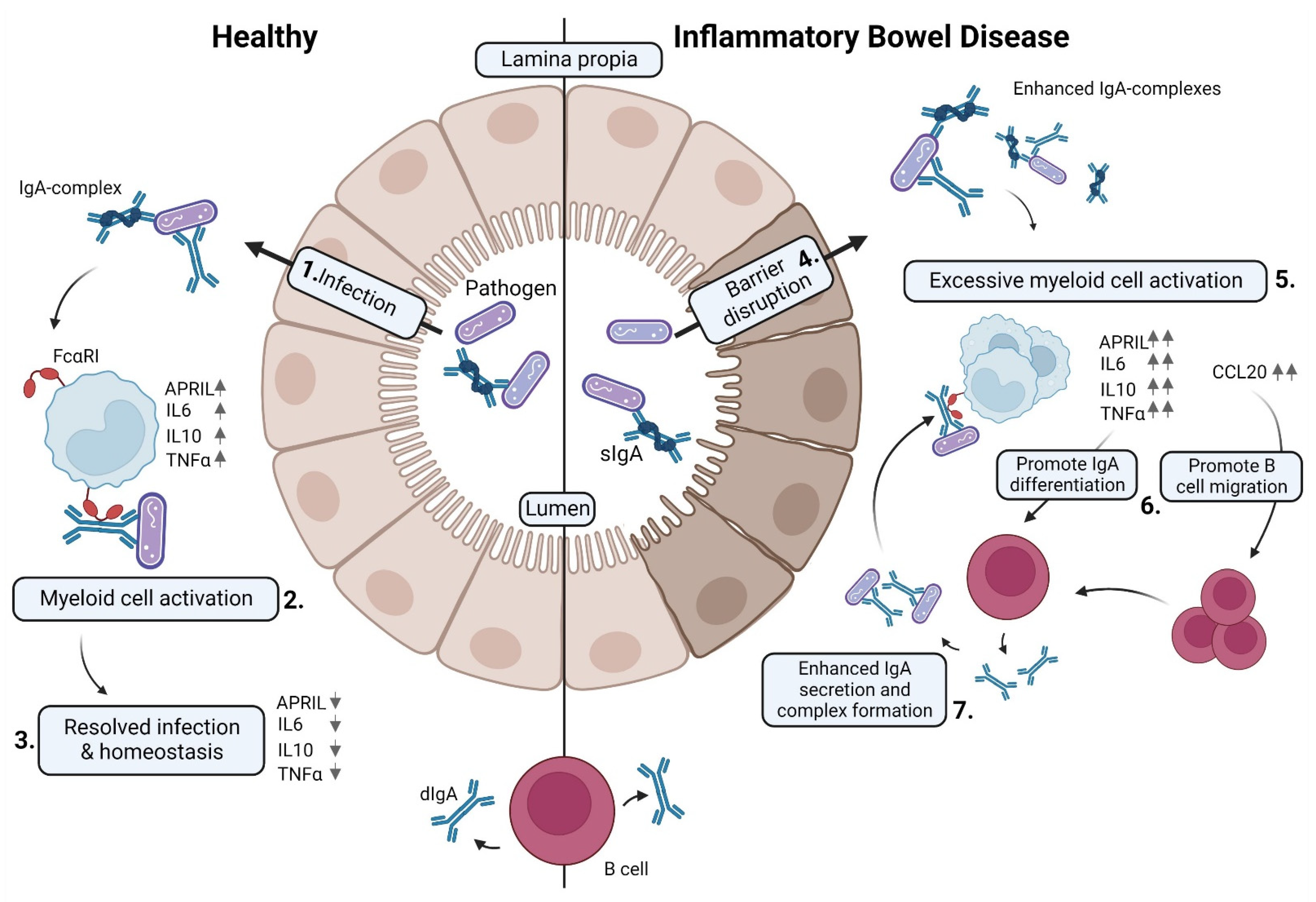 Ijms 23 11132 g006 Ijms 23 11132 g006