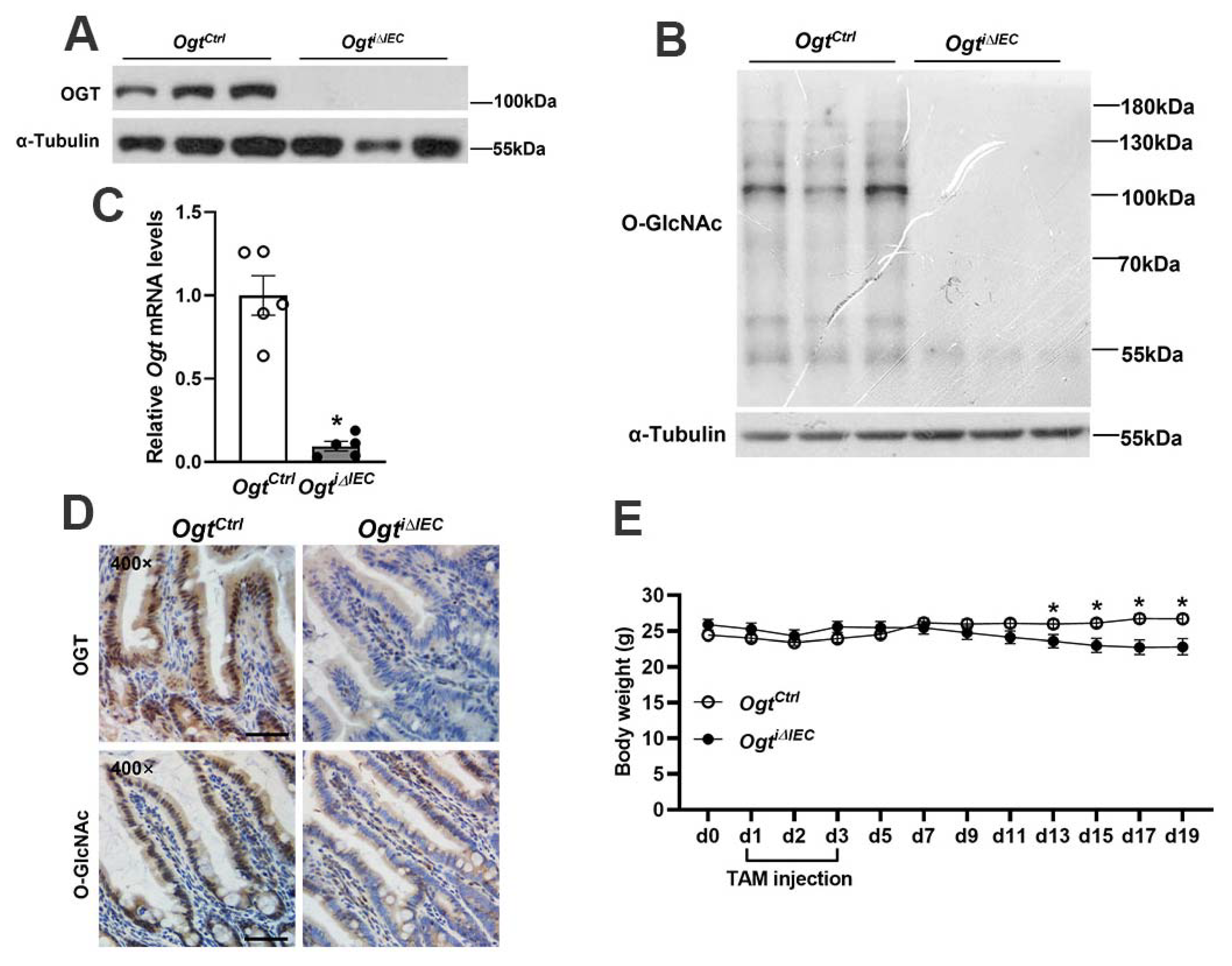 Ijms 23 11137 g001 Ijms 23 11137 g001
