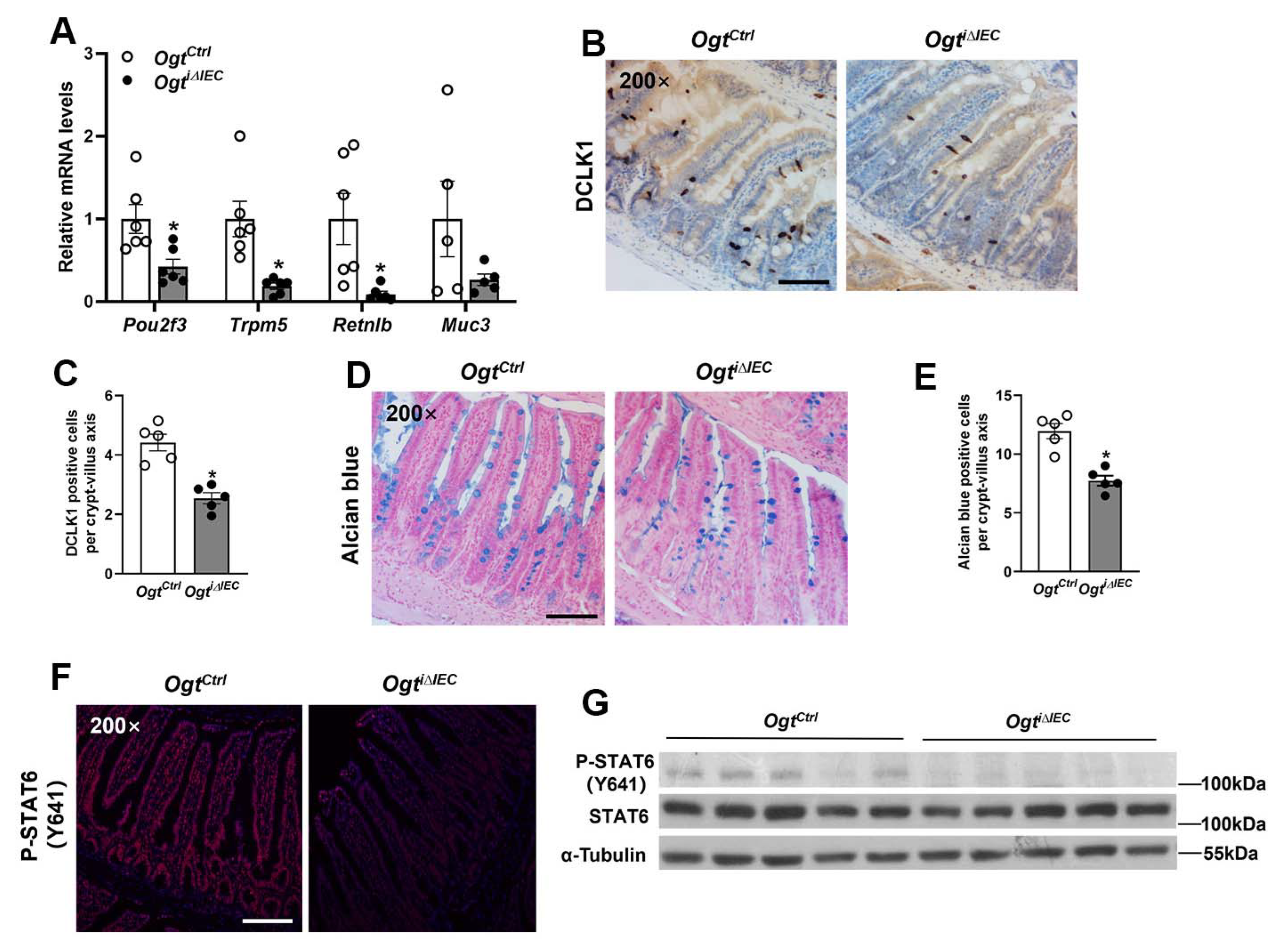 Ijms 23 11137 g003 Ijms 23 11137 g003