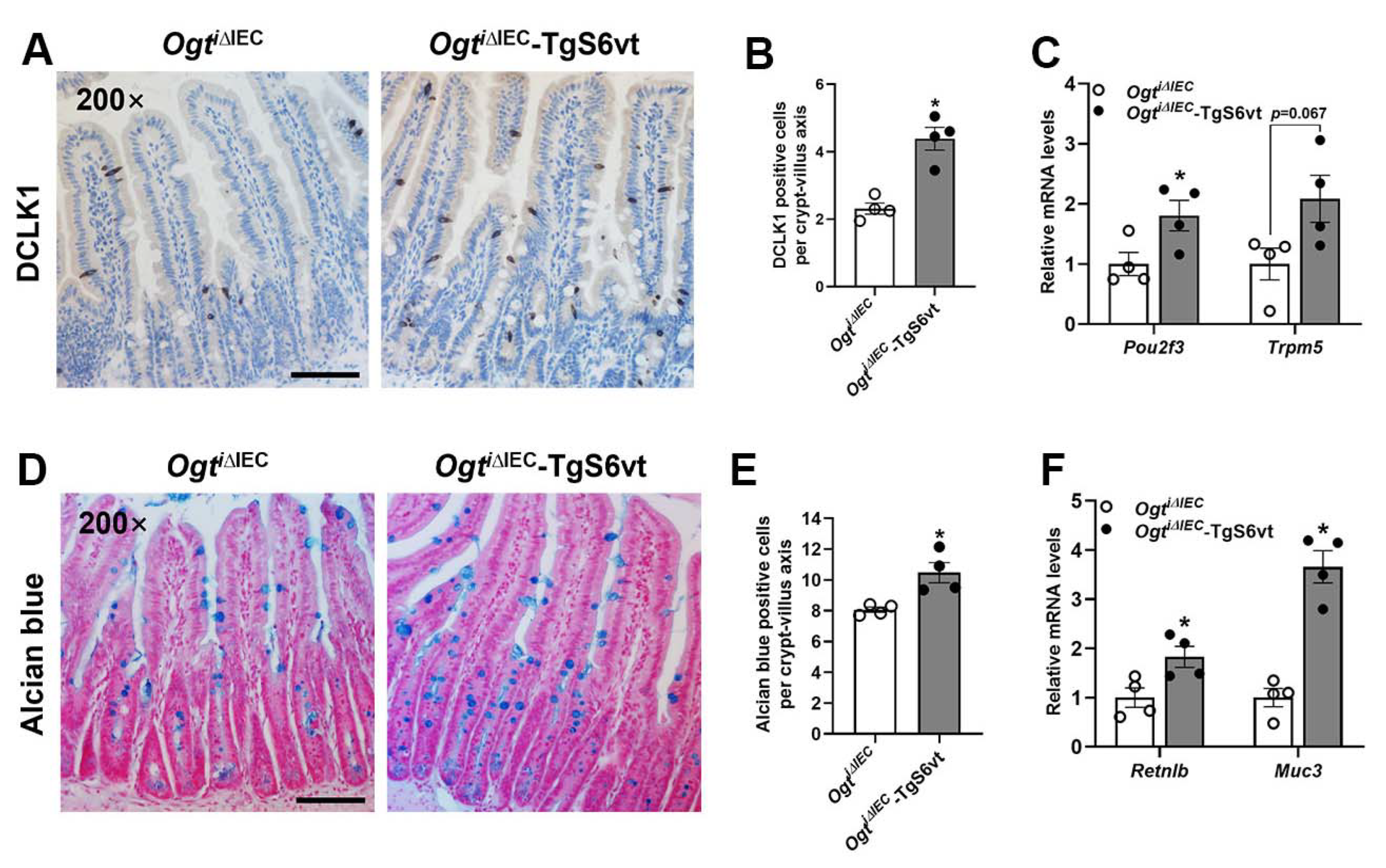 Ijms 23 11137 g005 Ijms 23 11137 g005