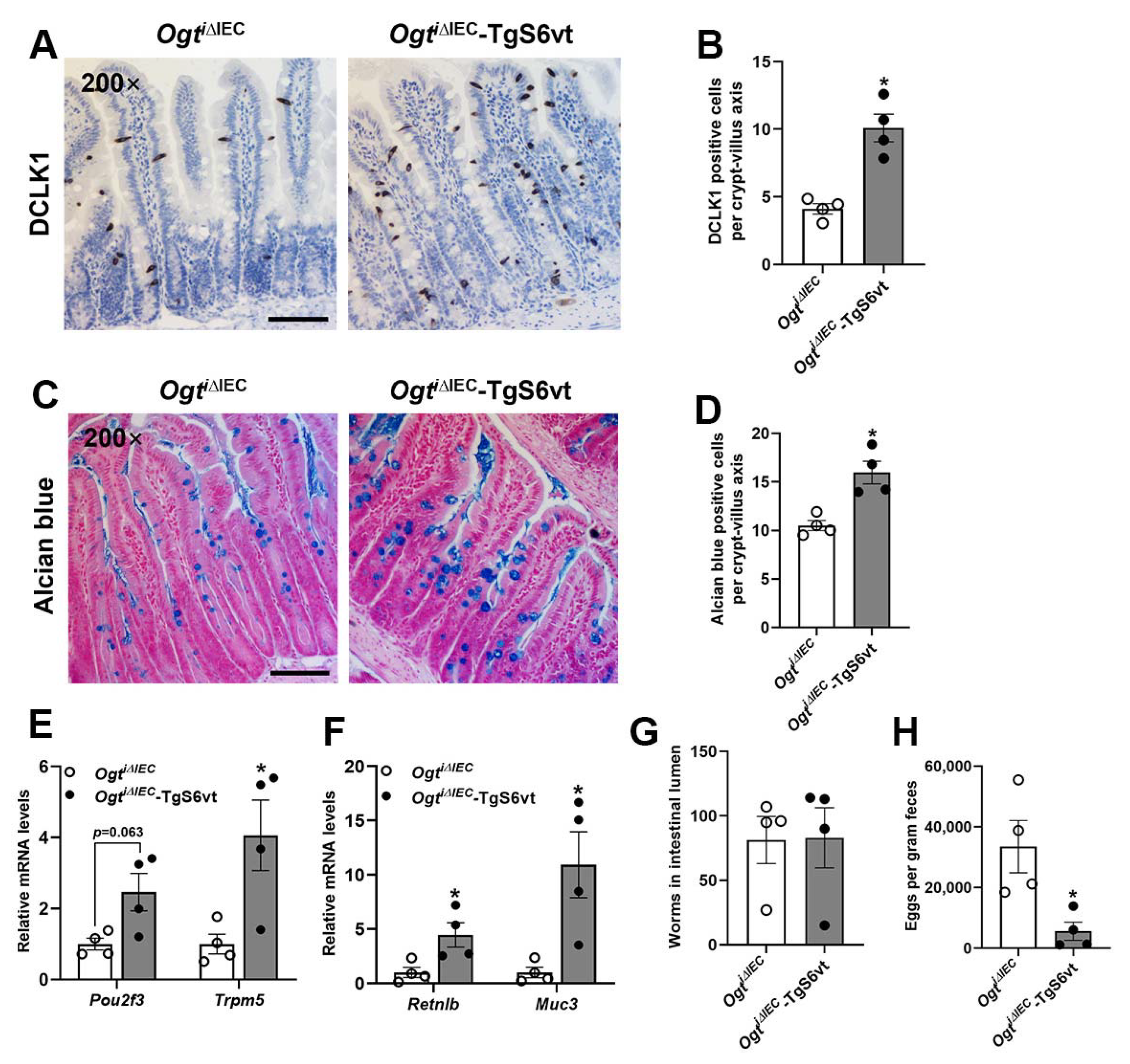 Ijms 23 11137 g006 Ijms 23 11137 g006