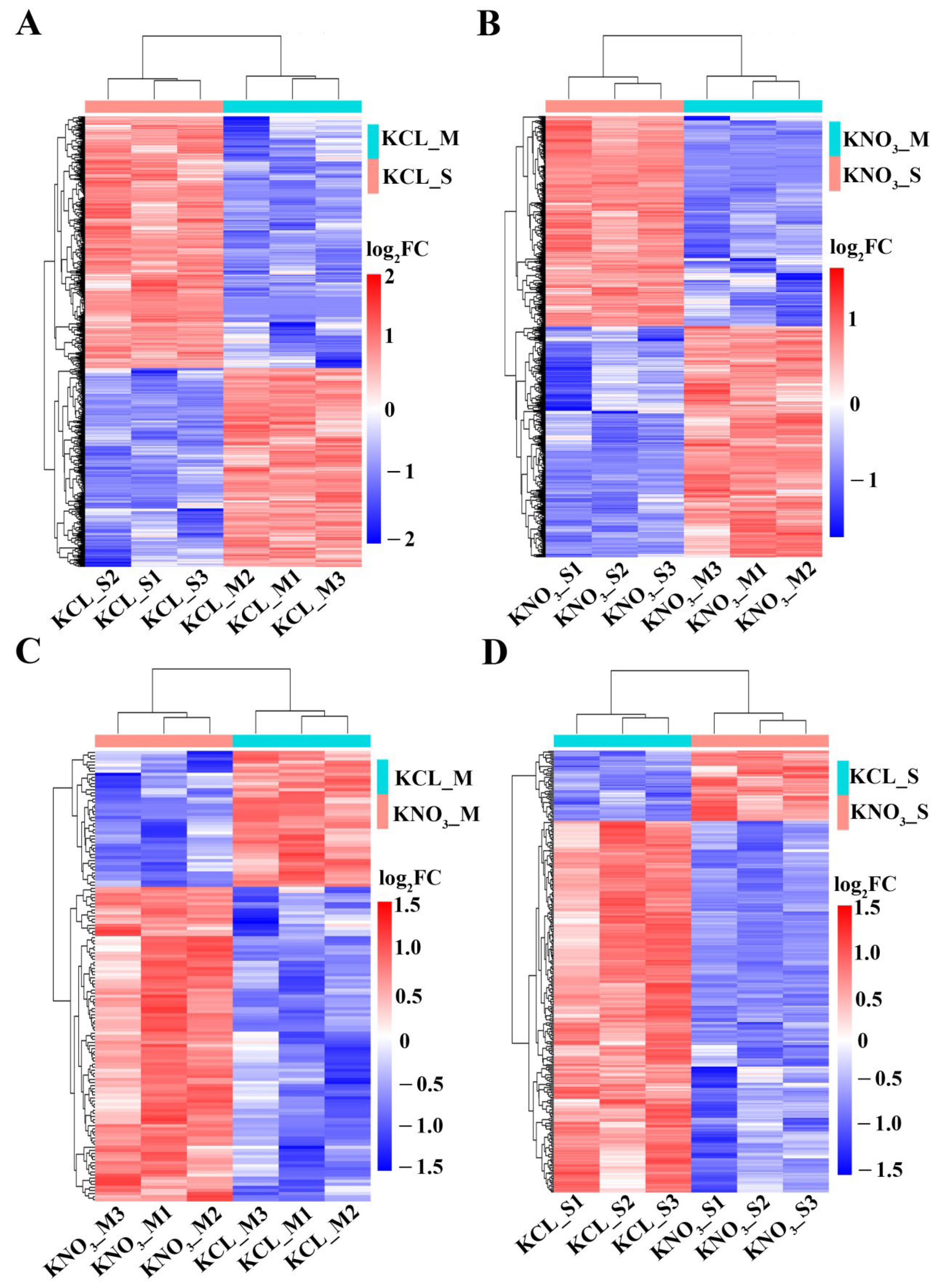 Ijms 23 11144 g002 Ijms 23 11144 g002