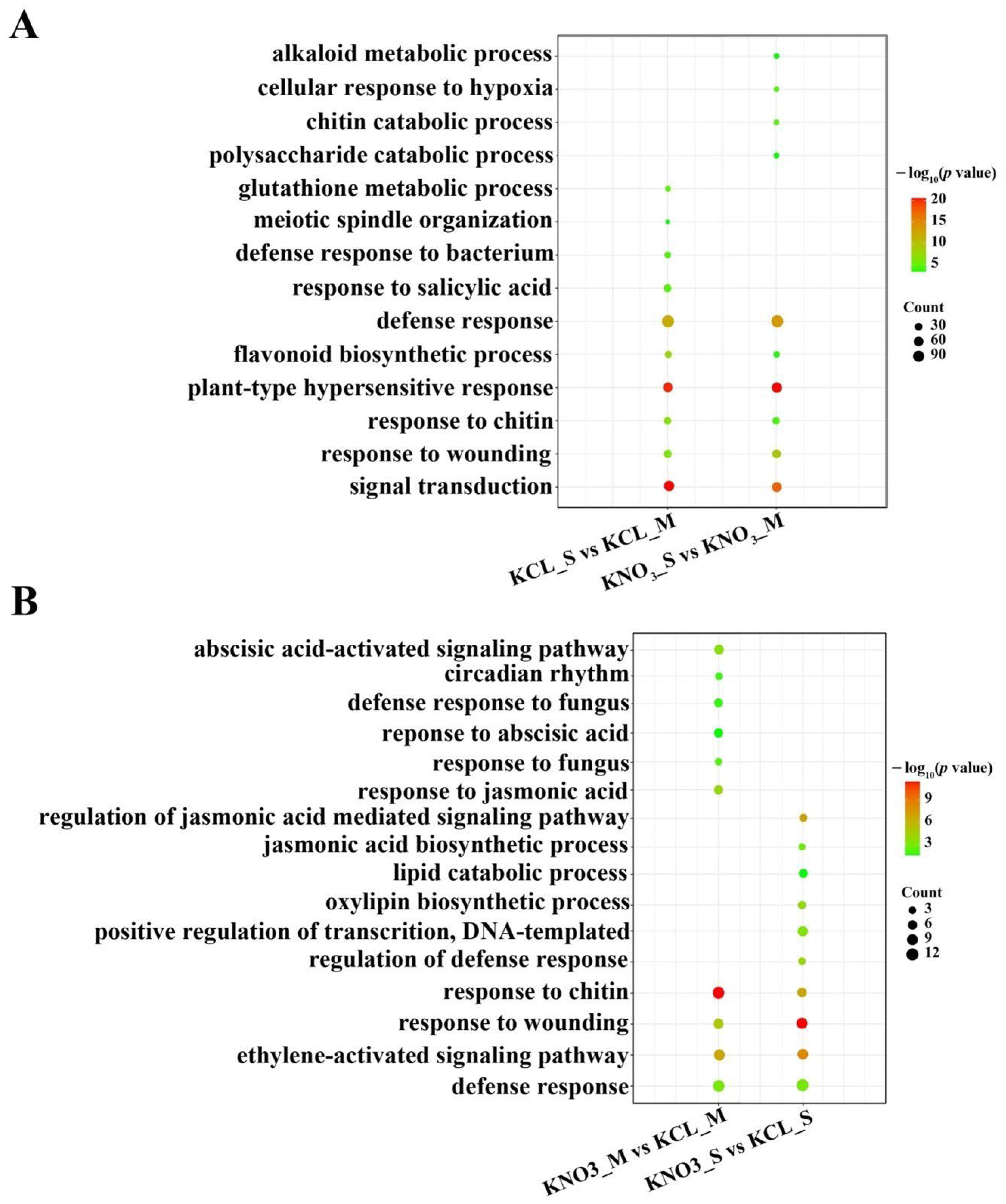 Ijms 23 11144 g003 Ijms 23 11144 g003