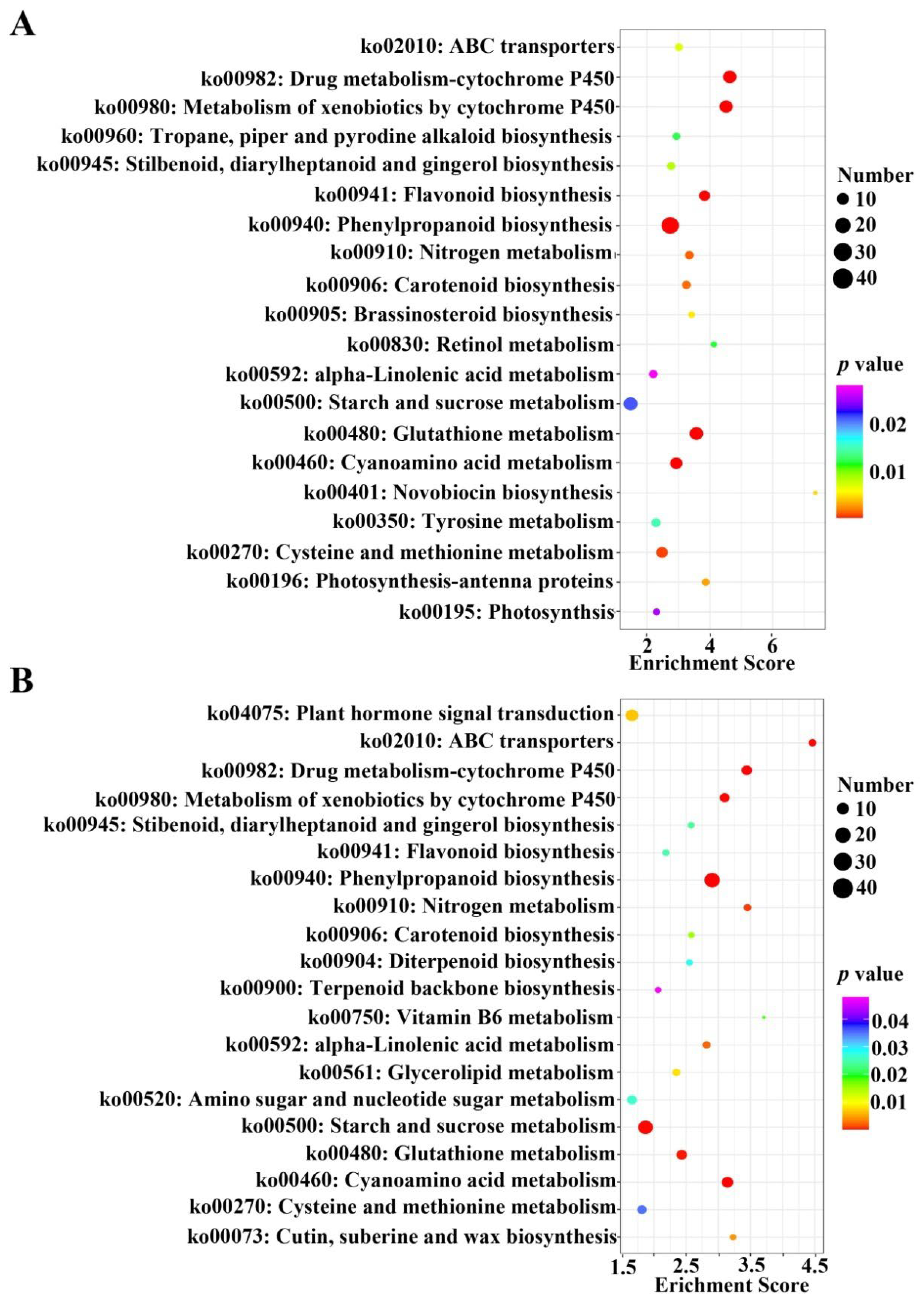 Ijms 23 11144 g004 Ijms 23 11144 g004