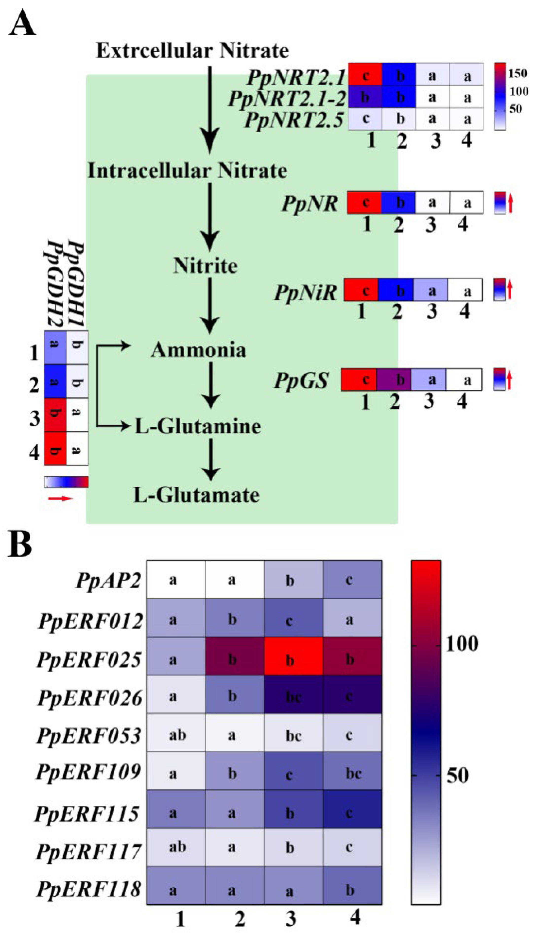 Ijms 23 11144 g005 Ijms 23 11144 g005