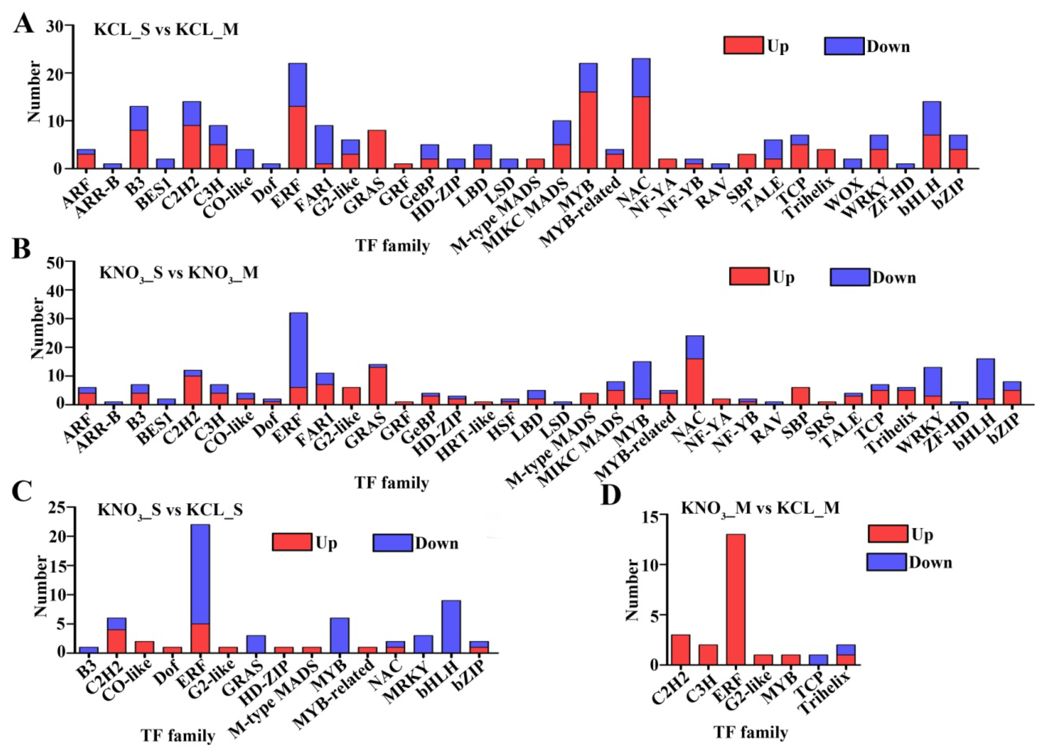 Ijms 23 11144 g006 Ijms 23 11144 g006