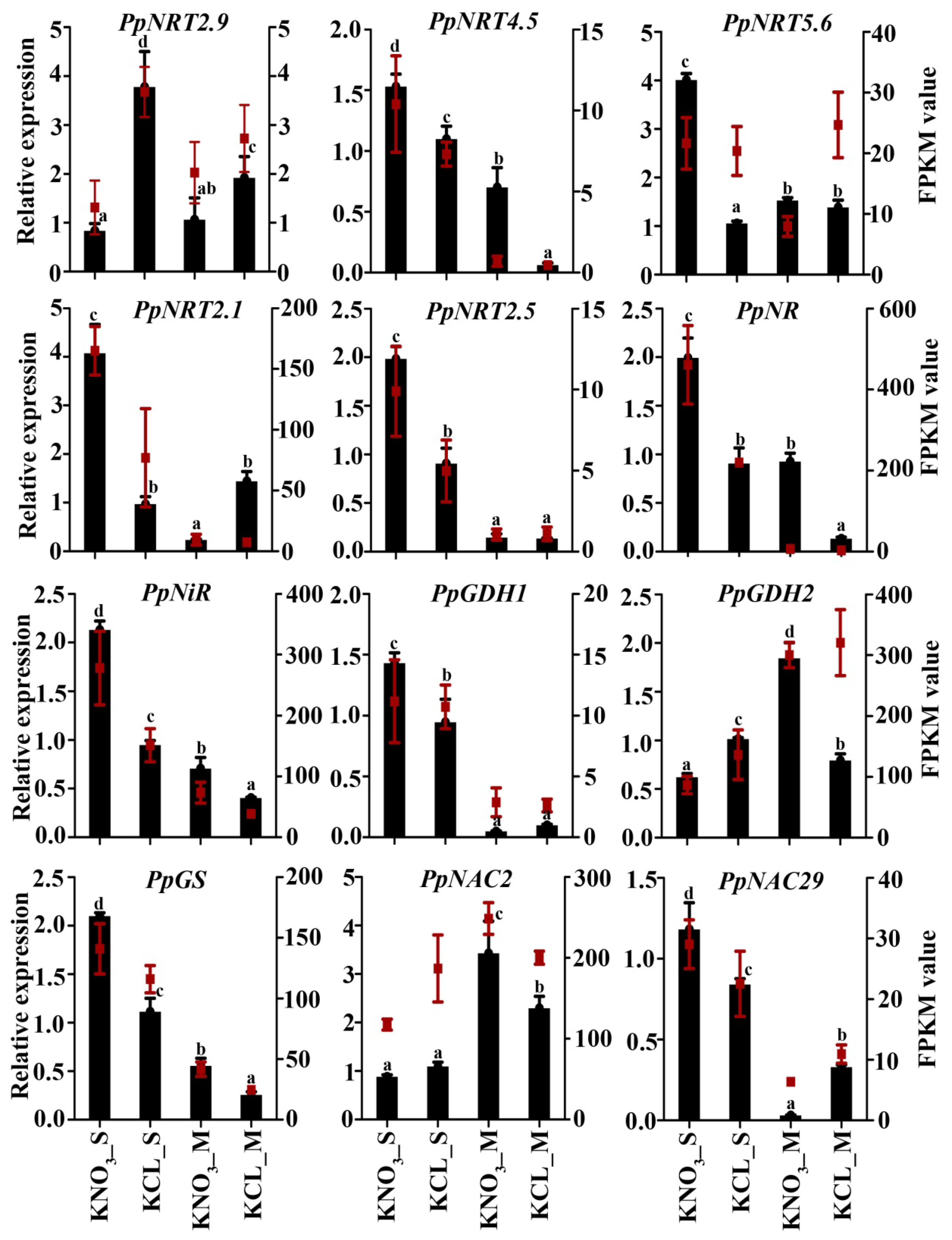 Ijms 23 11144 g007 Ijms 23 11144 g007