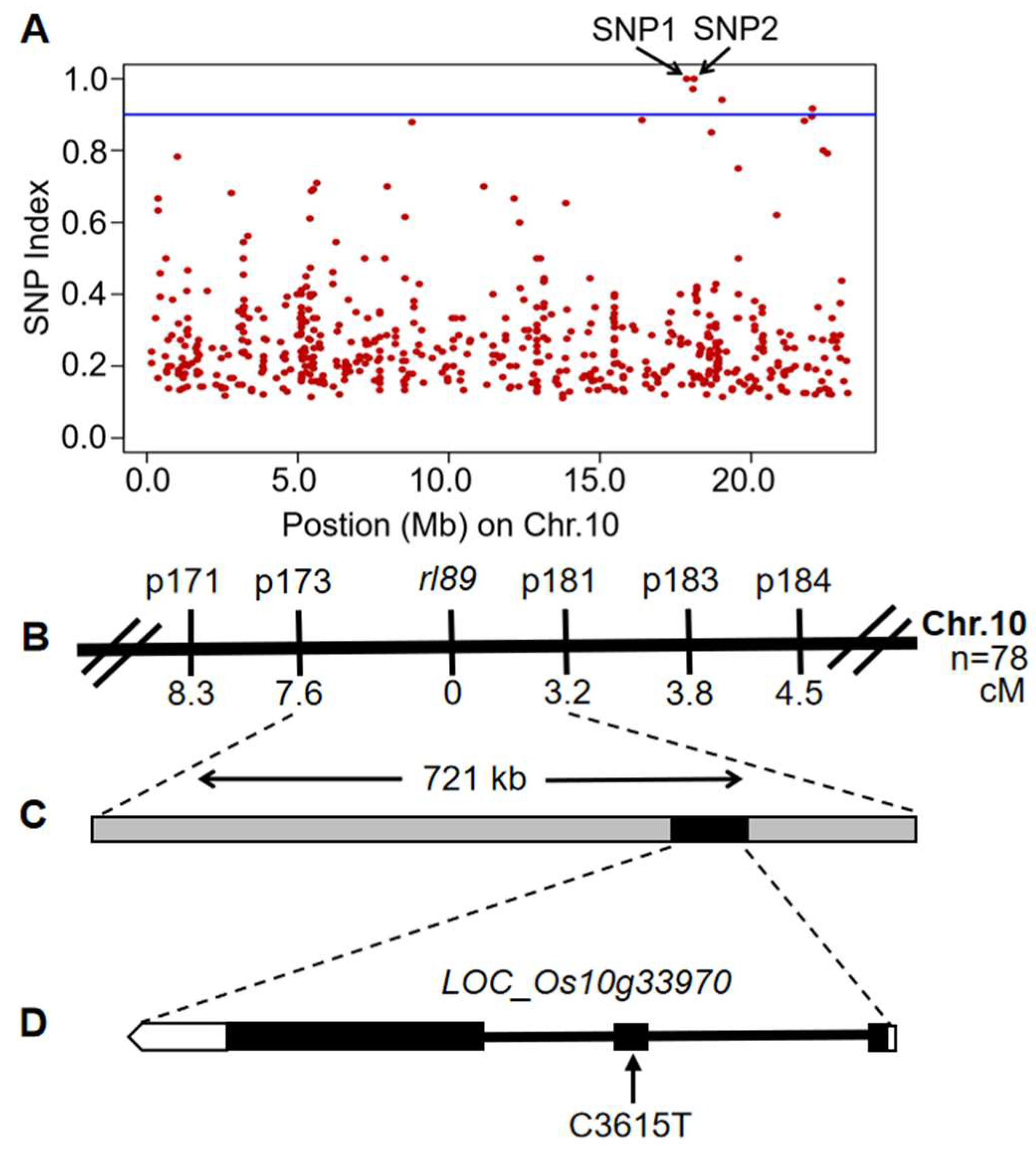 Ijms 23 11147 g003 Ijms 23 11147 g003