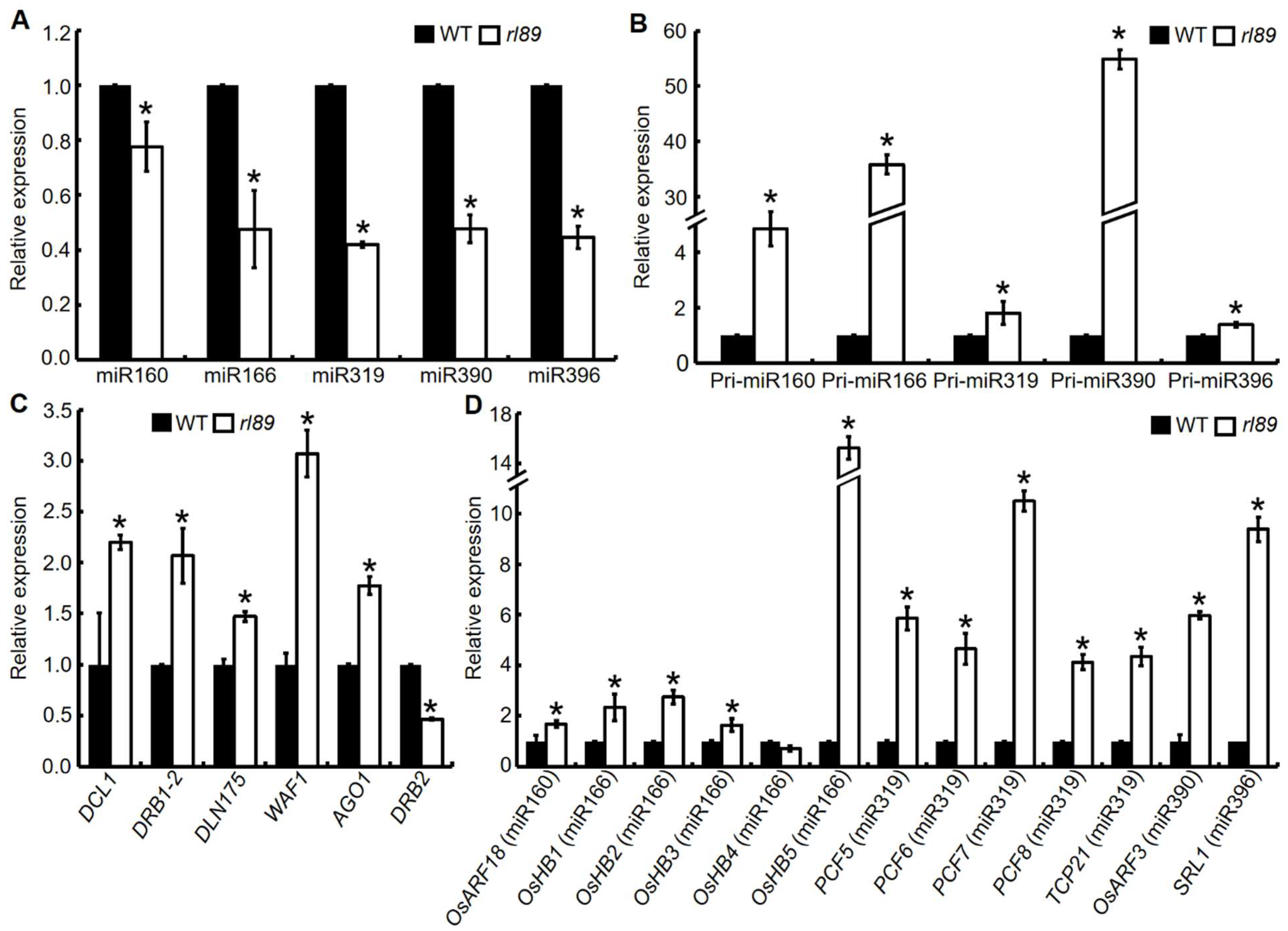 Ijms 23 11147 g008 Ijms 23 11147 g008