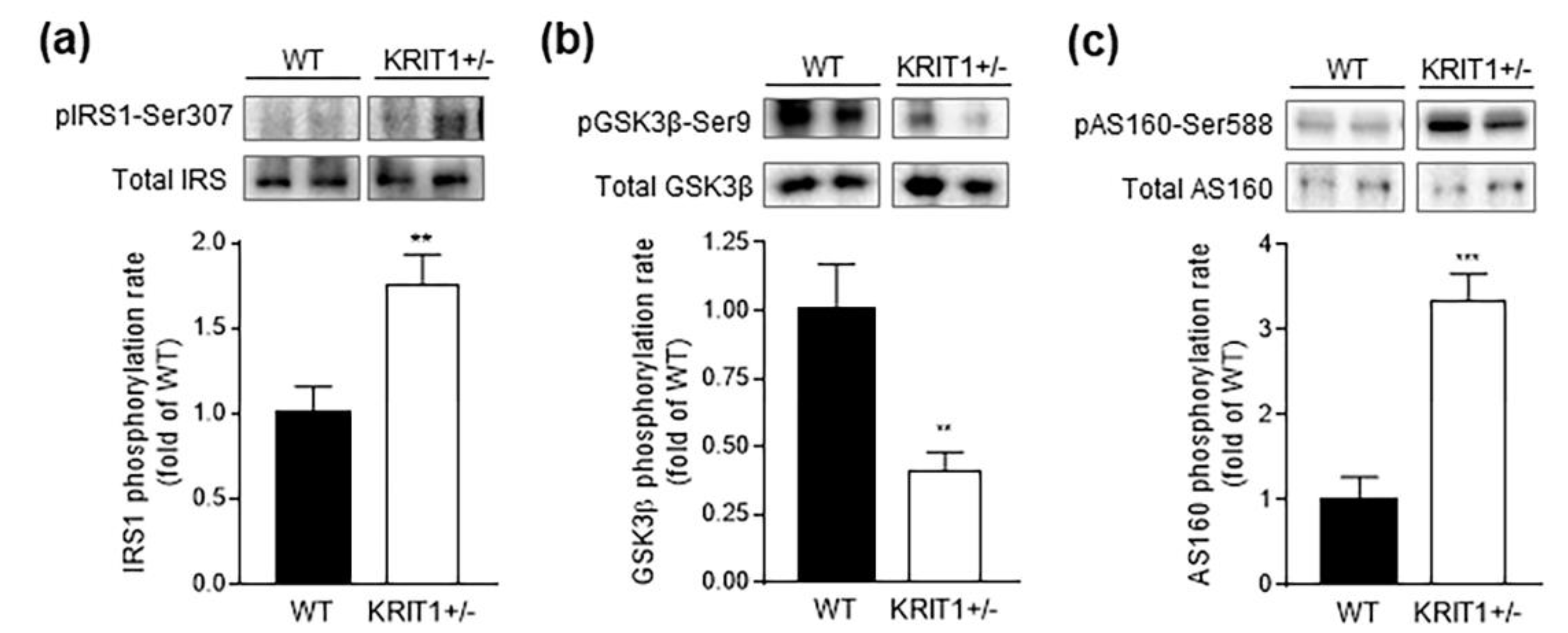 Ijms 23 11151 g003 Ijms 23 11151 g003