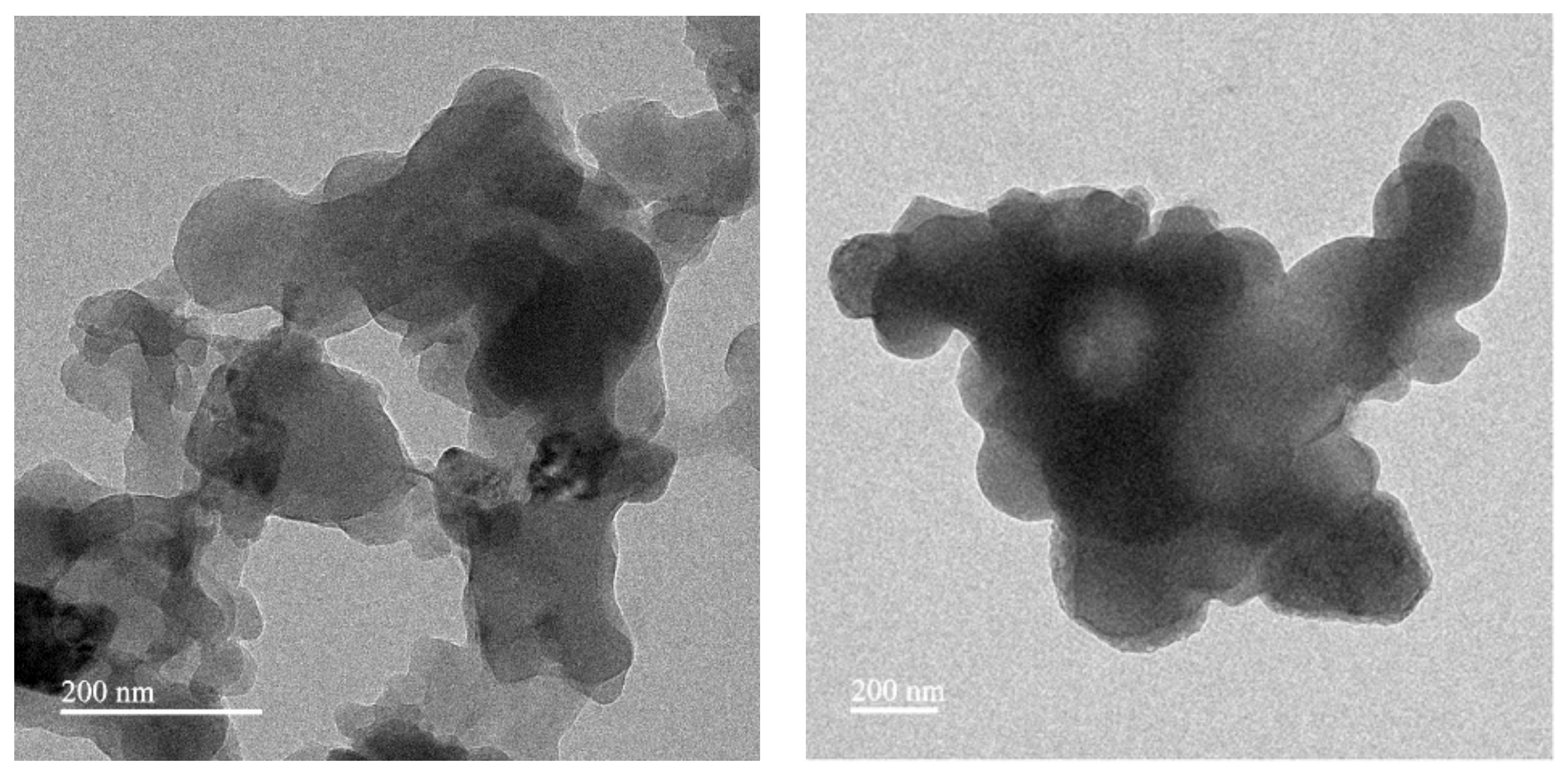 Ijms 23 11155 g005 550