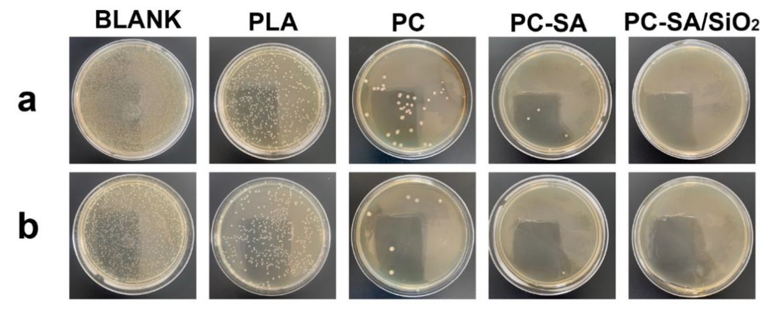 Ijms 23 11158 g007 550