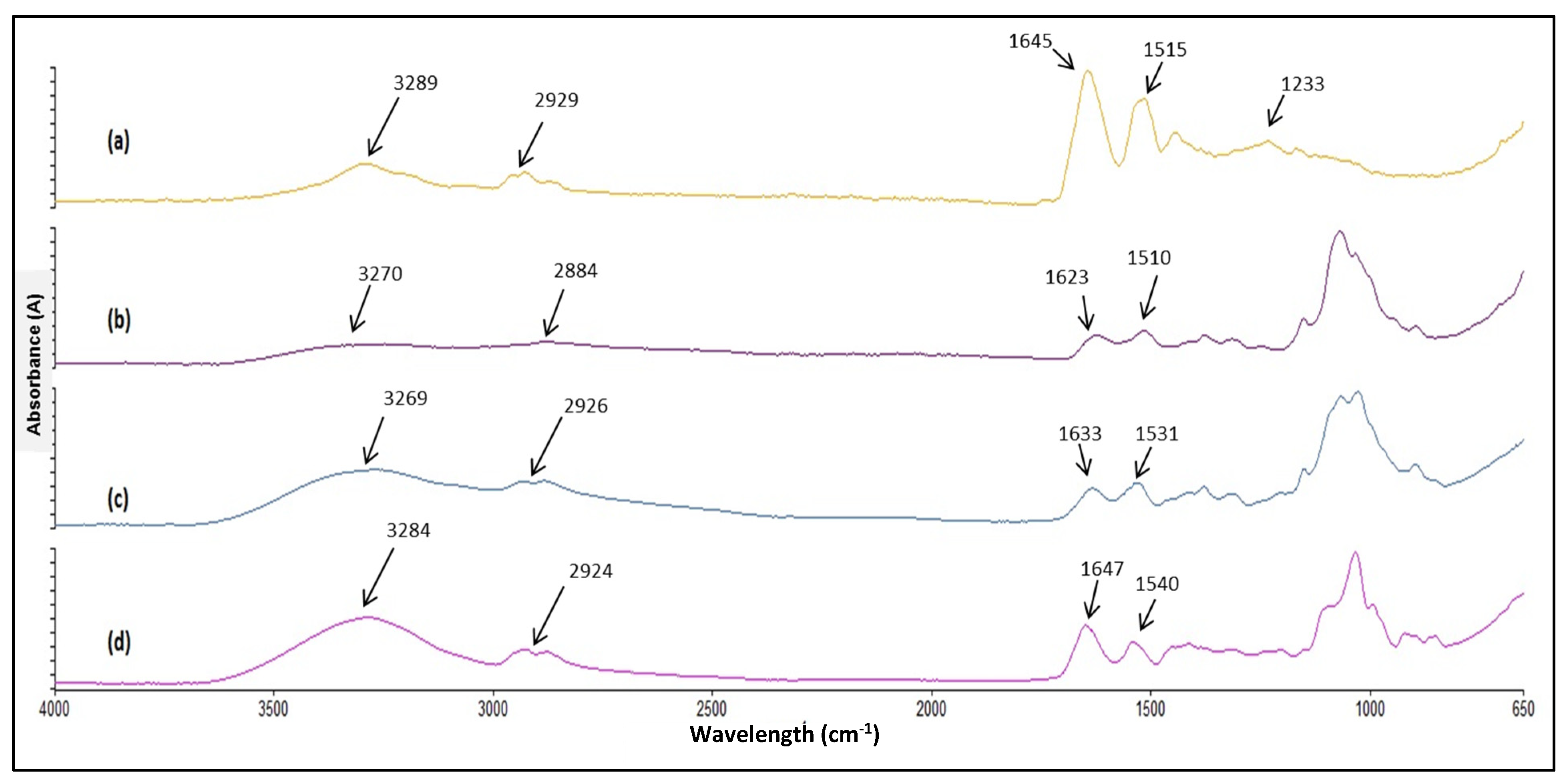 Ijms 23 11160 g003 550