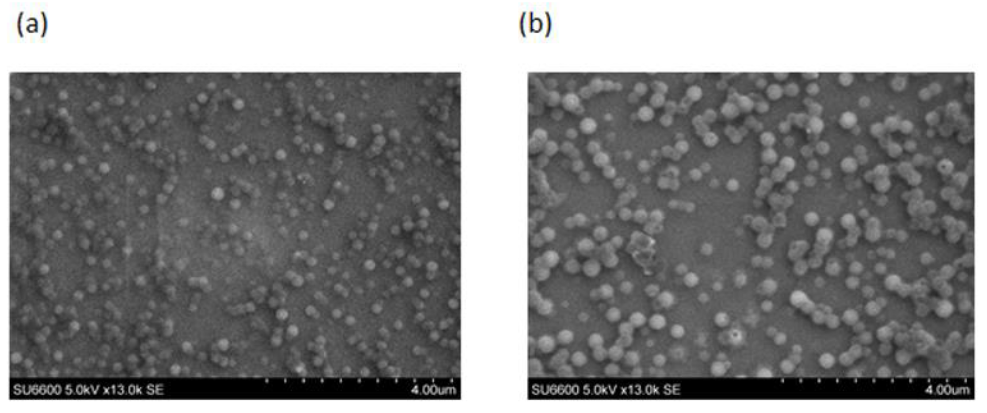 Ijms 23 11160 g004 550