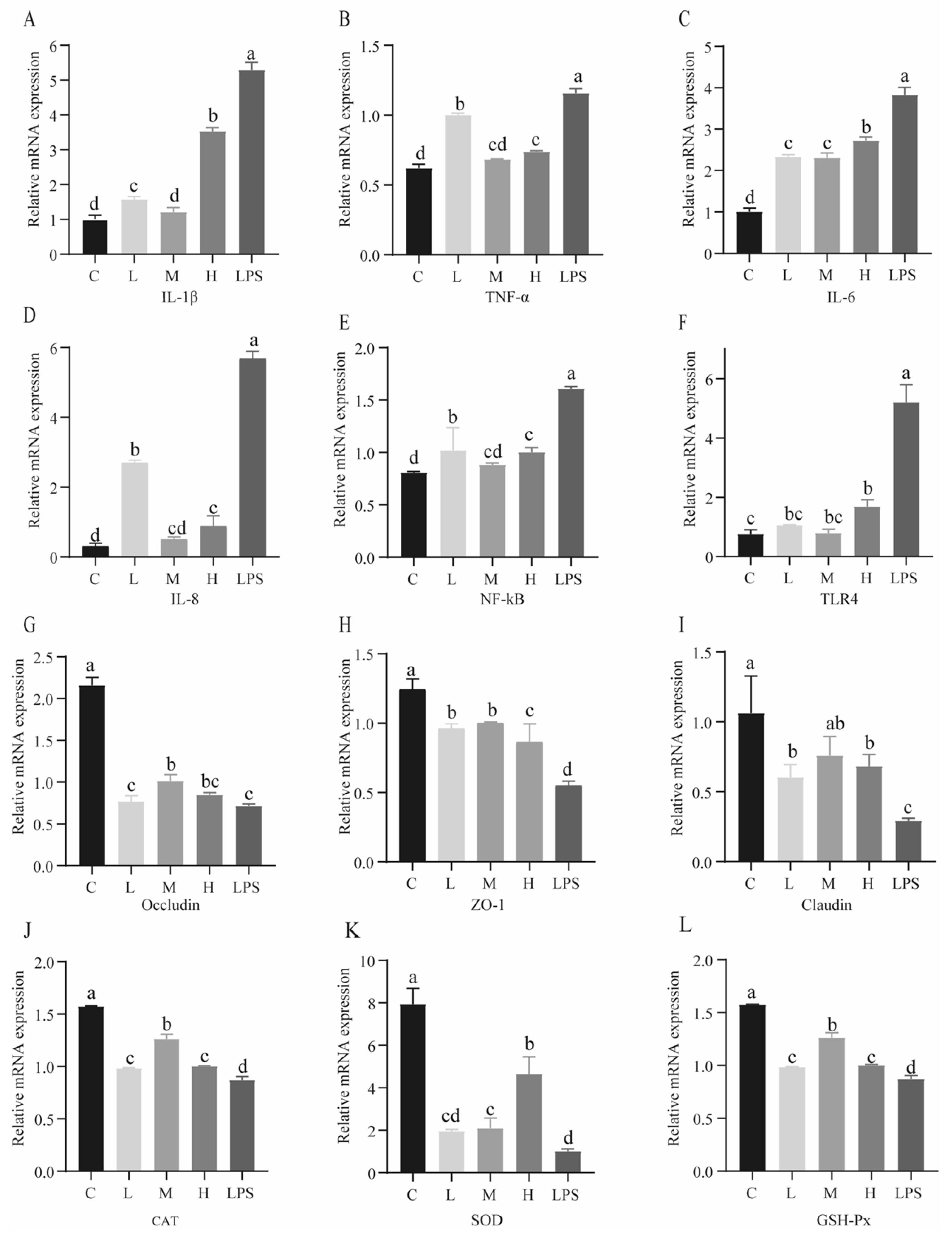 Ijms 23 11162 g004 Ijms 23 11162 g004