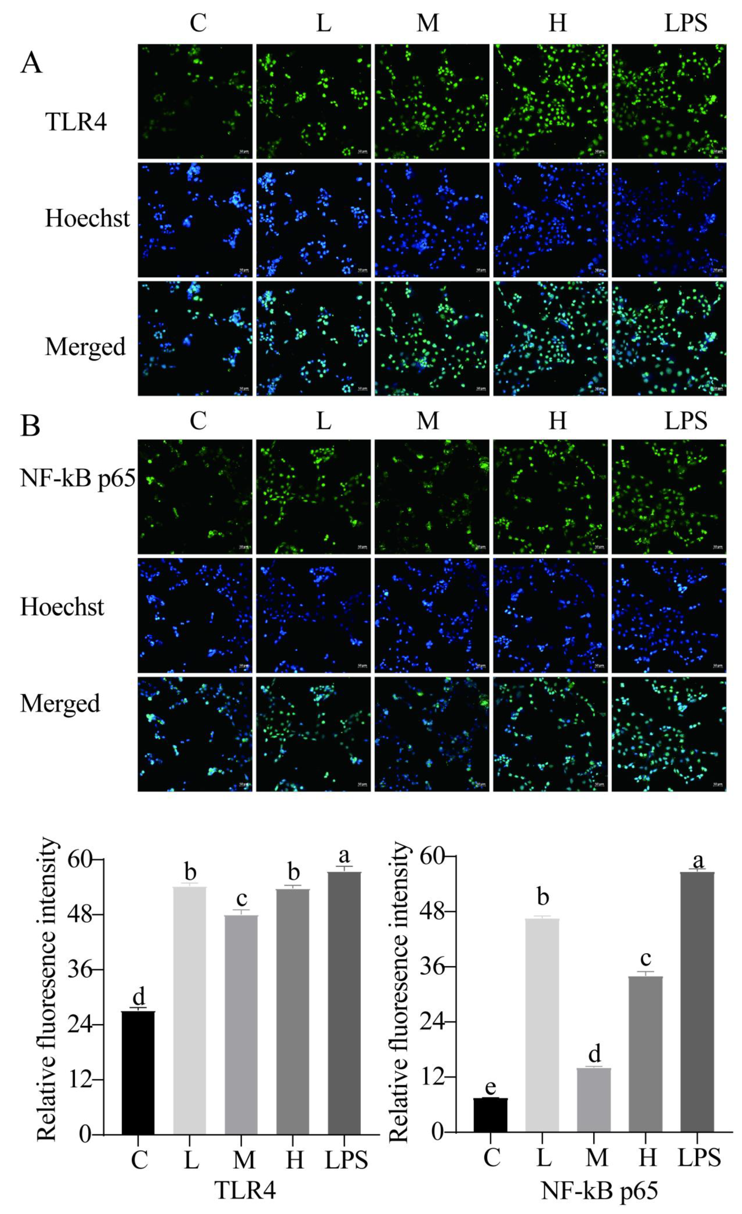 Ijms 23 11162 g007 Ijms 23 11162 g007