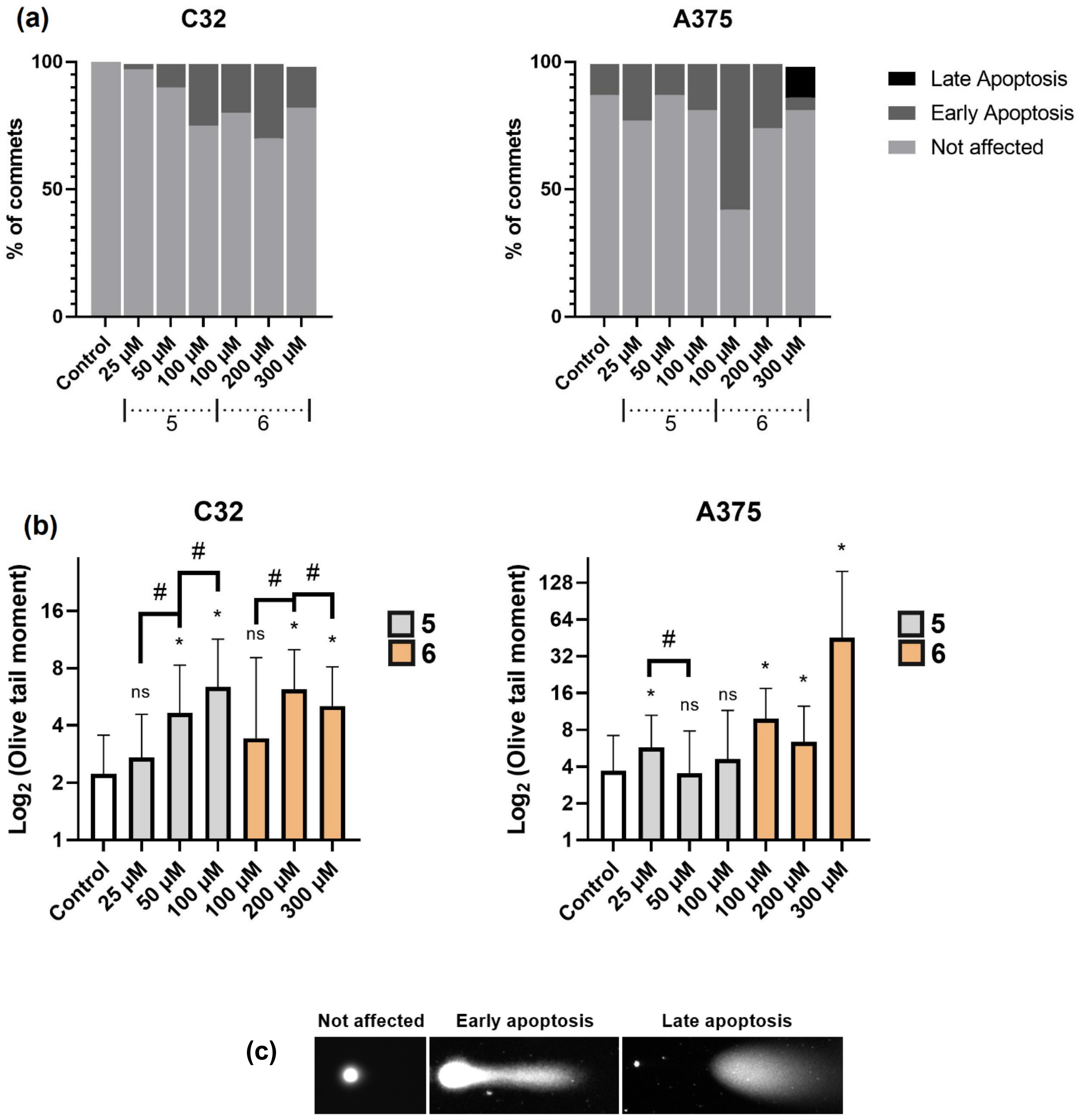 Ijms 23 11173 g006 Ijms 23 11173 g006