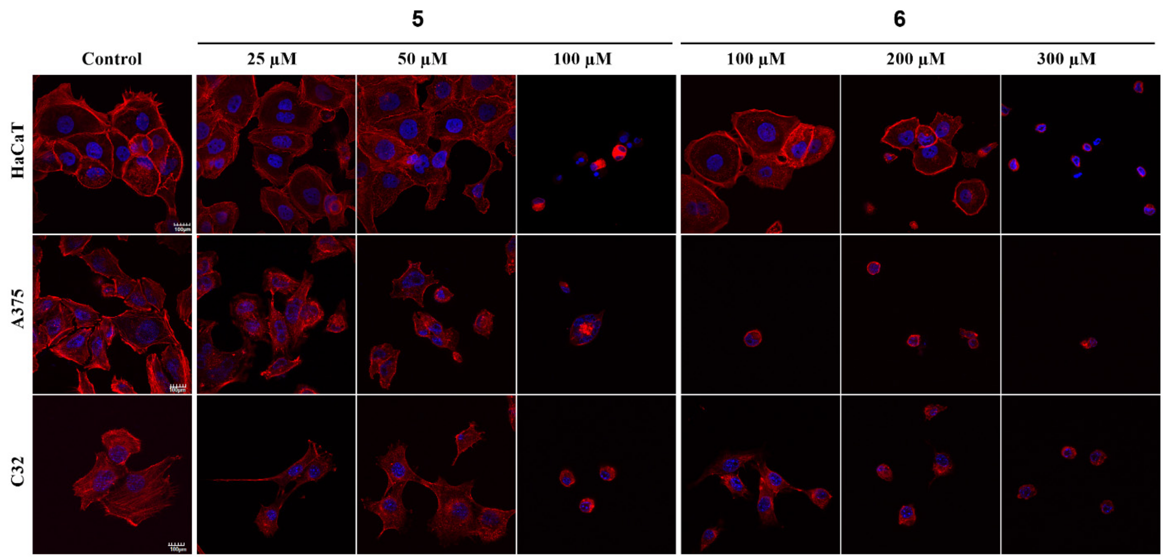 Ijms 23 11173 g007 Ijms 23 11173 g007