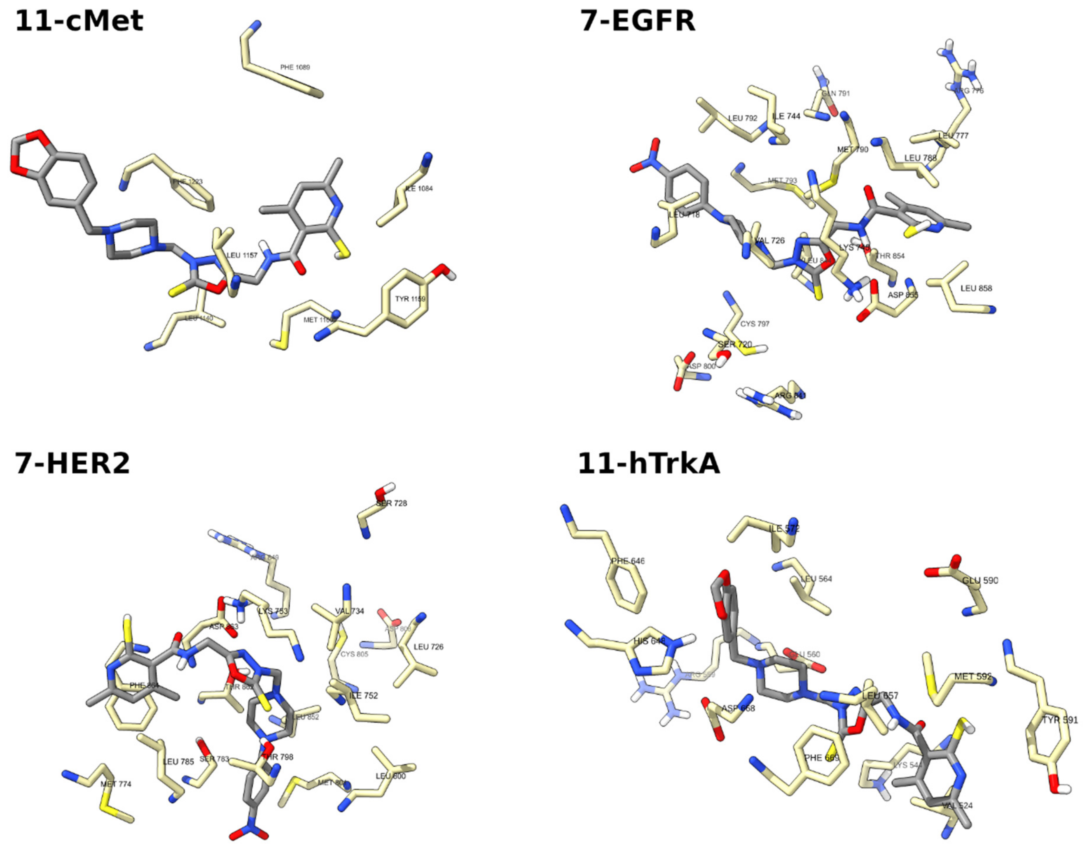 Ijms 23 11173 g009 Ijms 23 11173 g009