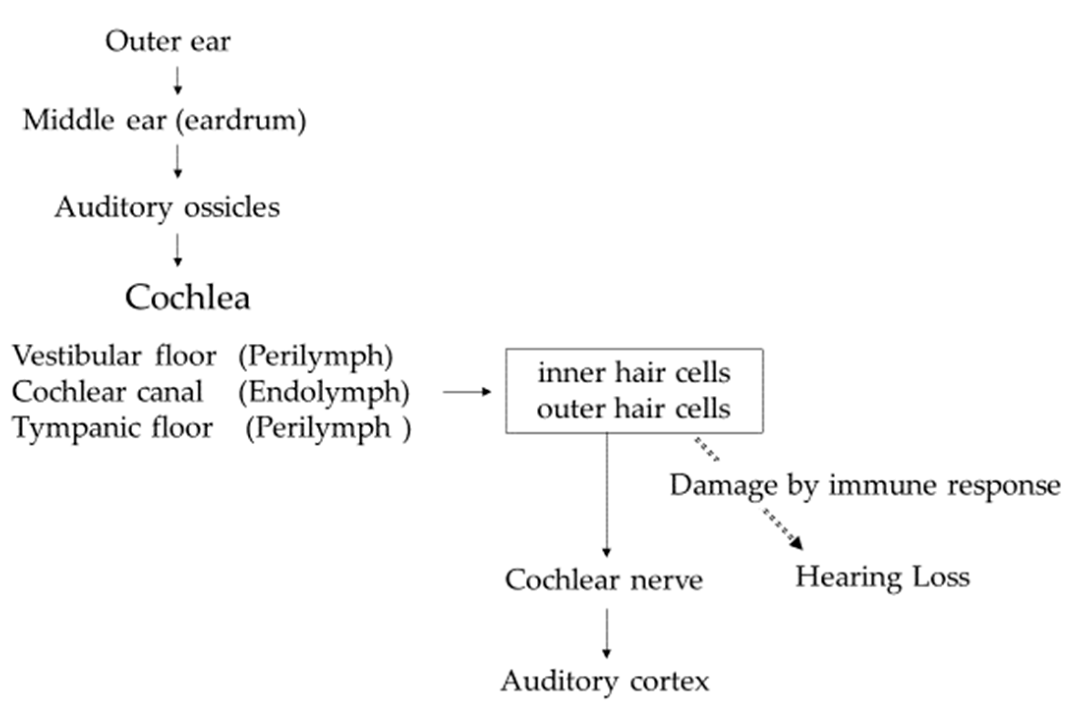 Ijms 23 11181 g001 Ijms 23 11181 g001